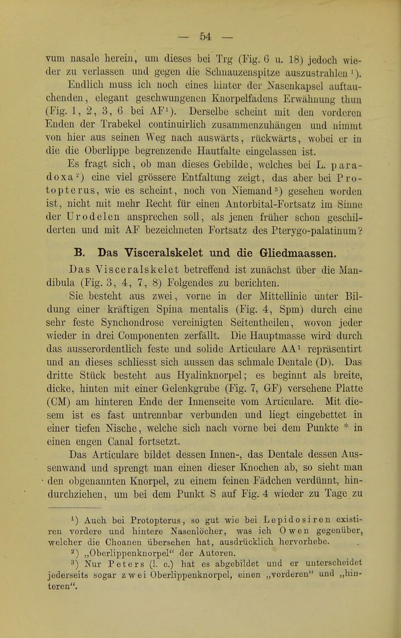 vum nasale herein, um dieses bei Trg (Fig. 6 u. 18) jedoch wie- der zu verlassen und gegen die Schnauzenspitze auszustrahlen '). Endlich luuss ich noch eines hinter der Nasenkapsel auftau- chenden, elegant geschwungenen Knorpelfadcns Erwähnung thun (Fig. 1, 2, 3, 6 bei AF'). Derselbe scheint mit den vorderen Enden der Trabekel continuirlich zusammenzuhängen und nimmt von hier aus seinen Weg nach auswärts, rückwärts, wobei er in die die Oberlippe begrenzende Hautfalte eingelassen ist. Es fragt sich, ob man dieses Gebilde, welches bei L. para- doxaO eine viel grössere Entfaltung zeigt, das aber bei Pro- topterus, wie es scheint, noch von Niemand3) gesehen worden ist, nicht mit mehr Kecht für einen Antorbital-Fortsatz im Sinne der Urodelen ansprechen soll, als jenen früher schon geschil- derten und mit AF bezeichneten Fortsatz des Pterygo-palatinum? B. Das Visceralskelet und die Gliedmaassen. Das Visceralskelet betreffend ist zunächst über die Man- dibula (Fig. 3, 4, 7, 8) Folgeudes zu berichten. Sie besteht aus zwei, vorne in der Mittellinie unter Bil- dung einer kräftigen Spina mentalis (Fig. 4, Spm) durch eine sehr feste Synchondrose vereinigten Seitentheilen, wovon jeder wieder in drei Componenten zerfällt. Die Hauptmasse wird durch das ausserordentlich feste und solide Articulare AA^ repräsentirt und an dieses schliesst sich aussen das schmale Dentale (D). Das dritte Stück besteht aus Hyalinknorpel; es beginnt als breite, dicke, hinten mit einer Gelenkgrube (Fig. 7, GF) versehene Platte (CM) am hinteren Ende der Innenseite vom Articulare. Mit die- sem ist es fast untrennbar verbunden und liegt eingebettet in einer tiefen Nische, welche sich nach vorne bei dem Punkte * in einen engen Canal fortsetzt. Das Articulare bildet dessen Innen-, das Dentale dessen Aus- senwand und sprengt man einen dieser Knochen ab, so sieht man den obgenaunten Knorpel, zu einem feinen Fädchen verdünnt, hin- durchziehen, um bei dem Punkt S auf Fig. 4 wieder zu Tage zu Auch bei Protopterus, so gut wie bei Lepidosiren existi- ren vordere und hintere Nasenlöcher, was ich Owen gegenüber, welcher die Choanen übersehen hat, ausdrücklich hervorhebe, 2) „Oberlippenknorpel der Autoren. ^) Nur Peters (1. c.) hat es abgebildet und er unterscheidet jederseitö sogar z w ei Oberlippenknorpel, einen „vorderen und „hin- teren.