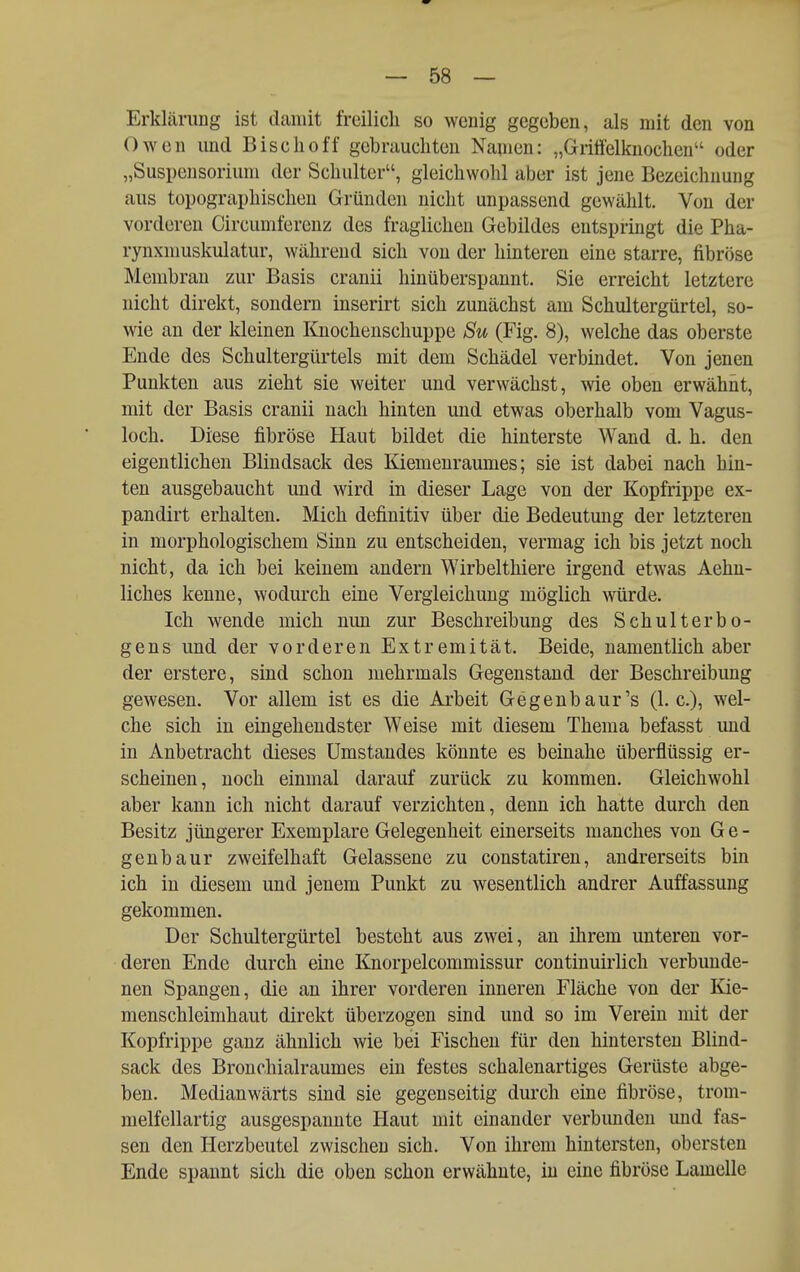 Erklcärimg ist damit freilich so wenig gegeben, als mit den von Owen mid Bise Ii off gebrauchten Nanien: „Griffelknochen oder „Suspensorium der Schulter, gleichwohl aber ist jene Bezeichnung aus topographischen Gründen nicht unpassend gewählt. Von der vorderen Circumferenz des fraglichen Gebildes entspringt die Pha- rynxniuskulatur, während sich von der hinteren eine starre, fibröse Membran zur Basis cranii hinüberspannt, Sie erreicht letztere nicht direkt, sondern inserirt sich zunächst am Schultergürtel, so- wie an der kleinen Knochenschuppe Su (Fig. 8), welche das oberste Ende des Schultergürtels mit dem Schädel verbindet. Von jenen Punkten aus zieht sie weiter und verwächst, wie oben erwähnt, mit der Basis cranii nach hinten und etwas oberhalb vom Vagus- loch. Diese fibröse Haut bildet die hinterste Wand d. h. den eigentlichen Blindsack des Kiemeuraumes; sie ist dabei nach hin- ten ausgebaucht und wird in dieser Lage von der Kopfrippe ex- pandirt erhalten. Mich definitiv über die Bedeutung der letzteren in morphologischem Sinn zu entscheiden, vermag ich bis jetzt noch nicht, da ich bei keinem andern Wirbelthiere irgend etwas Aehn- liches kenne, wodurch eine Vergleichung möglich würde. Ich wende mich nun zur Beschreibung des Schulterbo- gens und der vorderen Extremität. Beide, namentlich aber der erstere, sind schon mehrmals Gegenstand der Beschreibung gewesen. Vor allem ist es die Arbeit Gegenbaur's (I.e.), wel- che sich in eingehendster Weise mit diesem Thema befasst und in Anbetracht dieses ümstandes könnte es beinahe überflüssig er- scheinen, noch einmal darauf zurück zu kommen. Gleichwohl aber kann ich nicht darauf verzichten, denn ich hatte durch den Besitz jüngerer Exemplare Gelegenheit einerseits manches von G e - genbaur zweifelhaft Gelassene zu constatiren, andrerseits bin ich in diesem und jenem Punkt zu wesentlich andrer Auffassung gekommen. Der Schultergürtel besteht aus zwei, an ihrem unteren vor- deren Ende durch eine Knorpelcommissur continuirlich verbunde- nen Spangen, die an ihrer vorderen inneren Fläche von der Kie- menschleimhaut direkt überzogen sind und so im Verein mit der Kopfrippe ganz ähnlich wie bei Fischen für den hintersten Blind- sack des Bronchialraumes ein festes schalenartiges Gerüste abge- ben. Medianwärts sind sie gegenseitig durch eine fibröse, trom- melfellartig ausgespannte Haut mit einander verbunden und fas- sen den Herzbeutel zwischen sich. Von ihrem hintersten, obersten Ende spannt sich die oben schon erwähnte, in eine fibröse Lamelle