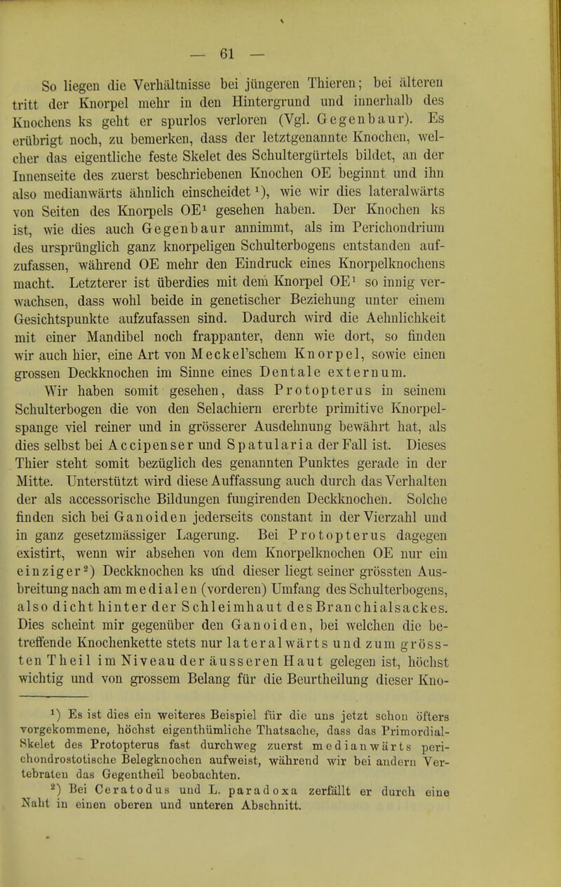 \ — 61 — So liegen die Verhältnisse bei jüngeren Thieren; bei älteren tritt der Knorpel mehr in den Hintergrund und innerhalb des Knochens ks geht er spurlos verloren (Vgl. Gegenbaur). Es erübrigt noch, zu bemerken, dass der letztgenannte Knochen, wel- cher das eigentliche feste Skelet des Schultergürtels bildet, an der Innenseite des zuerst beschriebenen Knochen OE jjeginnt und ihn also medianwärts ähnlich einscheidet i), wie wir dies lateralwärts von Seiten des Knorpels OE^ gesehen haben. Der Knochen ks ist, wie dies auch Gegenbaur annimmt, als im Perichondrium des ursprünglich ganz knorpeligen Schulterbogens entstanden auf- zufassen, während OE mehr den Eindruck eines Knorpelknochens macht. Letzterer ist überdies mit dem Knorpel OE^ so innig ver- wachsen, dass wohl beide in genetischer Beziehung unter einem Gesichtspunkte aufzufassen sind. Dadurch wird die Aehnlichkeit mit einer Mandibel noch frappanter, denn wie dort, so finden wir auch hier, eine Art von Meckel'schem Knorpel, sowie einen grossen Deckknochen im Sinne eines Dentale externum. Wir haben somit gesehen, dass Protopterus in seinem Schulterbogen die von den Selachiern ererbte primitive Knorpel- spange viel reiner und in grösserer Ausdehnung bewährt hat, als dies selbst bei Accipenser und Spatularia der Fall ist. Dieses Thier steht somit bezüglich des genannten Punktes gerade in der Mitte. Unterstützt wird diese Auffassung auch durch das Verhalten der als accessorische Bildungen fungirenden Deckknochen. Solche finden sich bei Ganoiden jederseits constant in der Vierzahl und in ganz gesetzmässiger Lagerung. Bei Protopterus dagegen existirt, wenn wir absehen von dem Knorpelknochen OE nur ein ein zig er 2) Deckknochen ks ühd dieser liegt seiner grössten Aus- breitung nach am medialen (vorderen) Umfang des Schulterbogens, also dicht hinter der Schleimhaut desBr an Chi al Sackes. Dies scheint mir gegenüber den Ganoiden, bei welchen die be- treffende Knochenkette stets nur lateralwärts und zum gröss- ten Theil im Niveau der äusseren Haut gelegen ist, höchst wichtig und von grossem Belang für die Beurtheilung dieser Kno- ^) Es ist dies ein weiteres Beispiel für die uns jetzt schon öfters vorgekommene, höchst eigenthümliche Thatsache, dass das Primordial- Mkelet des Protopterus fast durchweg zuerst medianwärts peri- chondrostotische Belegknochen aufweist, während wir bei andern Ver- tebrateu das Gegentheil beobachten. 2) Bei Gerat od US und L. paradoxa zerfällt er durch eine Naht in einen oberen und unteren Abschnitt.