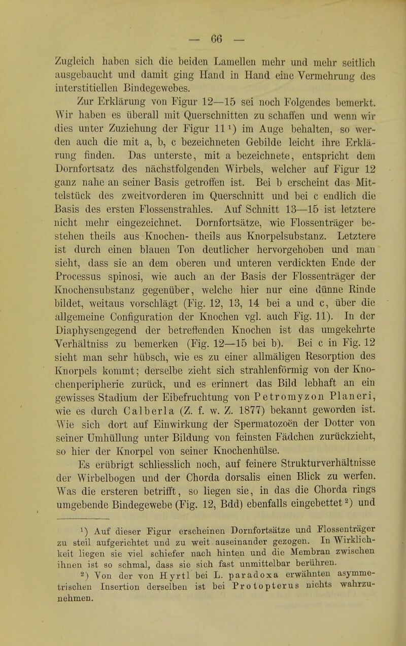 Zugleich haben sich die beiden Lamellen mehr und mehr seitlich ausgebaucht und damit ging Hand in Hand eine Vermehrung des interstitiellen Bindegewebes. Zur Erklärung von Figur 12—15 sei noch Folgendes l)emerkt. Wir haben es überall mit Querschnitten zu schaffen und wenn wir dies unter Zuziehung der Figur 11im Auge behalten, so wer- den auch die mit a, b, c bezeichneten Gebilde leicht ihre Erklä- rung finden. Das unterste, mit a bezeichnete, entspricht dem Dornfortsatz des nächstfolgenden Wirbels, welcher auf Figur 12 ganz nahe au seiner Basis getroffen ist. Bei b erscheint das Mit- telstück des zweitvorderen im Querschnitt und bei c endlich die Basis des ersten Flossenstrahles. Auf Schnitt 13—15 ist letztere nicht mehr eingezeichnet. Dornfortsätze, wie Flossenträger be- stehen theils aus Knochen- theils aus Knorpelsubstanz. Letztere ist durch einen blauen Ton deutlicher hervorgehoben und man sieht, dass sie an dem oberen und unteren verdickten Ende der Processus spinosi, wie auch an der Basis der Flosseuträger der Knochensubstanz gegenüber, welche hier nur eine dünne Rinde bildet, weitaus vorschlägt (Fig. 12, 13, 14 bei a und c, über die allgemeine Configuration der Knochen vgl. auch Fig. 11). In der Diaphysengegend der betreffenden Knochen ist das umgekehrte Verhältniss zu bemerken (Fig. 12—15 bei b). Bei c in Fig. 12 sieht man sehr hübsch, wie es zu einer allmäligen Resorption des Knorpels kommt; derselbe zieht sich strahlenförmig von der Kno- chenperipherie zurück, und es erinnert das Bild lebhaft an ein gewisses Stadium der Eibefruchtung von Petromyzon Pianeri, wie es durch Calberla (Z. f. w. Z. 1877) bekannt geworden ist. Wie sich dort auf Einwirkung der Spennatozoen der Dotter von seiner Umhüllung unter Bildung von feinsten Fädchen zurückzieht, so hier der Knorpel von seiner Knochenhülse. Es erübrigt schliesslich noch, auf feinere Strukturverhältnisse der Wirbelbogen und der Chorda dorsalis einen Blick zu werfen. Was die ersteren betrifft, so liegen sie, in das die Chorda rings umgebende Bindegewebe (Fig. 12, Bdd) ebenfalls eingebettet 2) und 1) Auf dieser Figur erscheinen Dornfortsätze und Flossenträger zu steil aufgerichtet und zu weit auseinander gezogen. In Wirklich- keit liegen sie viel schiefer nach hinten und die Membran zwischen ihnen ist so schmal, dass sie sich fast unmittelbar berühren. 2) Von der von Hyrtl bei L. paradoxa erwähnten asymme- trischen Insertion derselben ist bei Protopierus nichts wahrzu- nehmen.