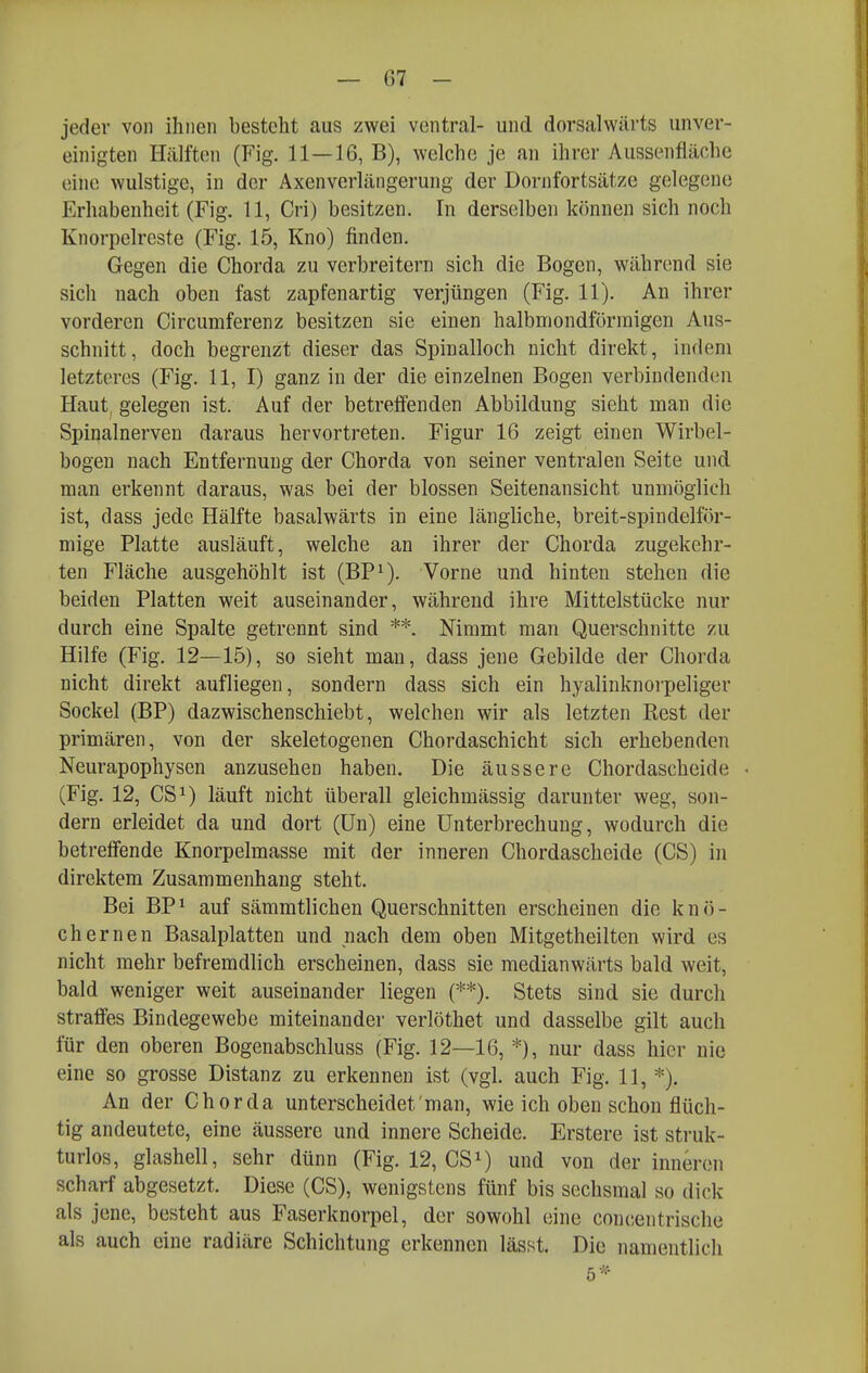 — Gl- ieder von ihnen besteht aus zwei ventral- und dorsalwärts unver- einigten Hälften (Fig. 11—16, B), welche je an ihrer Aussenfläche eine wulstige, in der Axenverlängerung der Dornfortsätze gelegene Erhabenheit (Fig. 11, Cri) besitzen. In derselben können sich noch Knorpelreste (Fig. 15, Kno) finden. Gegen die Chorda zu verbreitern sich die Bogen, während sie sich nach oben fast zapfenartig verjüngen (Fig. 11). An ihrer vorderen Circumferenz besitzen sie einen halbmondförmigen Aus- schnitt, doch begrenzt dieser das Spinalloch nicht direkt, indem letzteres (Fig. 11, I) ganz in der die einzelnen Bogen verbindenden Haut, gelegen ist. Auf der betreffenden Abbildung sieht man die Spinalnerven daraus hervortreten. Figur 16 zeigt einen Wirbel- bogen nach Entfernung der Chorda von seiner ventralen Seite und man erkennt daraus, was bei der blossen Seitenansicht unmöglich ist, dass jede Hälfte basalwärts in eine längliche, breit-spindelför- mige Platte ausläuft, welche an ihrer der Chorda zugekehr- ten Fläche ausgehöhlt ist (BP^). Vorne und hinten stehen die beiden Platten weit auseinander, während ihre Mittelstücke nur durch eine Spalte getrennt sind **. Nimmt man Querschnitte zu Hilfe (Fig. 12—15), so sieht mau, dass jene Gebilde der Chorda nicht direkt aufliegen, sondern dass sich ein hyalinknorpeliger Sockel (BP) dazwischenschiebt, welchen wir als letzten Rest der primären, von der skeletogenen Chordaschicht sich erhebenden Neurapophysen anzusehen haben. Die äussere Chordascheide • (Fig. 12, CS^) läuft nicht überall gleichmässig darunter weg, son- dern erleidet da und dort (Un) eine Unterbrechung, wodurch die betreffende Knorpelmasse mit der inneren Chordascheide (CS) in direktem Zusammenhang steht. Bei BPi auf sämmtlichen Querschnitten erscheinen die knö- chernen Basalplatten und nach dem oben Mitgetheilten wird es nicht mehr befremdlich erscheinen, dass sie medianwärts bald weit, bald weniger weit auseinander liegen (**). Stets sind sie durch straffes Bindegewebe miteinander verlöthet und dasselbe gilt auch für den oberen Bogenabschluss (Fig. 12—16, *), nur dass hier nie eine so grosse Distanz zu erkennen ist (vgl. auch Fig. 11, *). An der Chorda unterscheidet man, wie ich oben schon flüch- tig andeutete, eine äussere und innere Scheide. Erstere ist struk- turlos, glashell, sehr dünn (Fig. 12, CSi) und von der inneren scharf abgesetzt. Diese (CS), wenigstens fünf bis sechsmal so dick als jene, besteht aus Faserknorpel, der sowohl eine concentrische als auch eine radiäre Schichtung erkennen lässt. Die namentlich