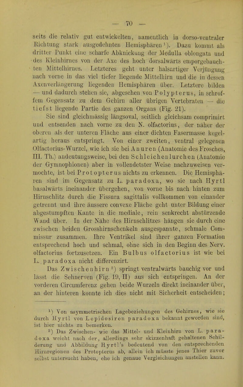 seits die relativ gut entwickelten, namentlich in dorso-ventraler Kicbtung stark autigedehnten Hemisphären'). Dazu kommt als dritter Punkt eine scharfe Abknickuug der Medulla oblongata und • des Kleinhirnes von der Axe des hoch dorsalwärts emporgebauch- ^ teu Mittelhirnes. Letzteres geht unter halsartiger Veijiinguug nach vorne in das viel tiefer liegende Mittelhirn und die in dessen Axenverlängerung liegenden Hemisphären über. Letztere bilden — und dadurch stehen sie, abgesehen von Polypterus, in schrof- fem Gegensatz zu dem Gehirn aller übrigen Vertebraten — die tiefst liegende Partie des ganzen Organs (Fig. 21). Sie sind gleichniässig längsoval, seitlich gleichsam comprimirt und entsenden nach vorne zu den N. olfactorius, der näher der oberen als der unteren Fläche aus einer dichten Fasermasse kegel- artig heraus entspringt. Von einer zweiten, ventral gelegenen Olfactorius-Wurzel, wie ich sie bei Anuren (Anatomie des Frosches, ni Th.) andeutungsweise, bei den Schleicheulurchen (Anatomie der Gymnophionen) aber in vollendetster Weise nachzuweisen ver- mochte, ist bei P r 010 p t e r u s nichts zu erkennen. Die Hemisphä- ren sind im Gegensatz zu L. paradoxa, wo sie nach Hyrtl basalwärts ineinander übergehen, von vorne bis nach hinten zum Hirnschlitz durch die Fissura sagittalis vollkommen von einander getrennt und ihre äussere convexe Fläche geht unter Bildung einer abgestumpften Kante in die mediale, rein senkrecht abstürzende Wand über. In der Nähe des Hiruschlitzes hängen sie durch eine zwischen beiden Grosshirnschenkeln ausgespannte, schmale Com- missur zusammen. Ihre Ventrikel sind ihrer ganzen Formation entsprechend hoch und schmal, ohlne sich in den Beginn des Nerv, olfactorius fortzusetzen. Ein Bulbus olfactorius ist wie bei L. p ar a d 0 x a nicht diflerenzirt. Das Zw i s ch e n h i r n ) springt ventralwärts bauchig vor und lässt die Sehnerven (Fig. 19, H) aus sich entspringen. An der vorderen Circumferenz gehen beide Wurzeln direkt ineinander über, an der hinteren konnte ich dies nicht mit Sicherheit entscheiden; ^) Von asymmetrischeu Lagebeziehungen des Gehirnes, wie sie durch Hyrtl von Lopidosiren paradoxa bekanntgeworden sind, ist hier nichts zu bemerken. 2) Das Zwischen- wie das Mittel- und Kleinhirn von L. para- doxa weicht nach der, allerdings sehr skizzenhaft gehaltenen Schil- derung und Abbildung Hyrtl's bedeutend von den entsprechenden Hirnregiouen des Protopterus ab, allein ich müsste jenes Thier zuvor selbst uniersucht haben, ehe ich genaue Vergleichuugeu anstellen kann.