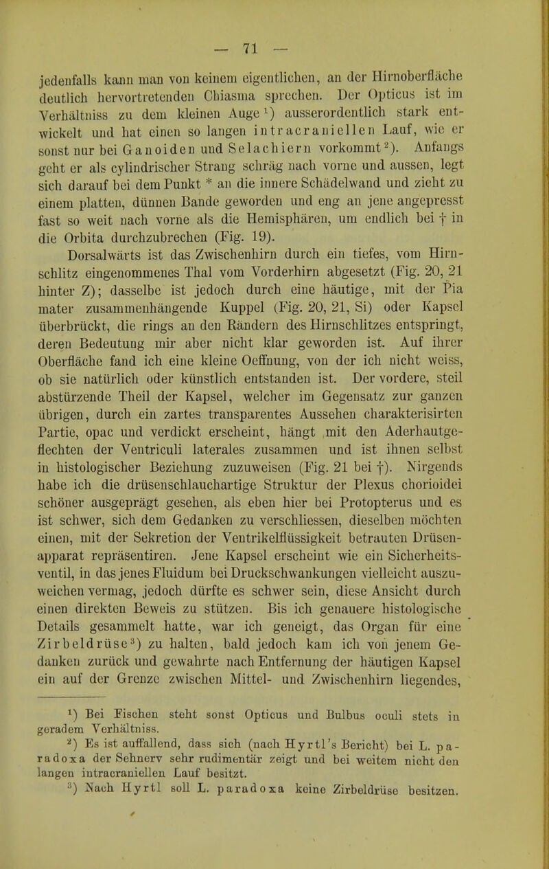 jedenfalls kann man von keinem eigentlichen, an der Hirnoberfläche deutlich hervortretenden Chiasma sprechen. Der Opticus ist im Verhältniss zu dem kleinen Auge ^) ausserordentlich stark ent- wickelt und hat einen so langen intracraniellen Lauf, wie er sonst nur bei Ganoiden und Selachlern vorkommt''*). Anfangs gellt er als cylindrischer Strang schräg nach vorne und aussen, legt sich darauf bei dem Punkt * an die innere Schädelwand und zieht zu einem platten, dünnen Bande geworden und eng an jene angepresst fast so weit nach vorne als die Hemisphären, um endlich bei f in die Orbita durchzubrechen (Fig. 19). Dorsalwärts ist das Zwischenhirn durch ein tiefes, vom Hirn- schlitz eingenommenes Thal vom Vorderhirn abgesetzt (Fig. 20, 21 hinter Z); dasselbe ist jedoch durch eine häutige, mit der Pia mater zusammenhängende Kuppel (Fig. 20, 21, Si) oder Kapsel überbrückt, die rings an den Eändern des Hirnschlitzes entspringt, deren Bedeutung mir aber nicht klar geworden ist. Auf ihrer Oberfläche fand ich eine kleine Oeffnung, von der ich nicht weiss, ob sie natürlich oder künstlich entstanden ist. Der vordere, steil abstürzende Theil der Kapsel, welcher im Gegensatz zur ganzen übrigen, durch ein zartes transparentes Aussehen charakterisirten Partie, opac und verdickt erscheint, hängt mit den Aderhautge- flechten der Ventriculi laterales zusammen und ist ihnen selbst in histologischer Beziehung zuzuweisen (Fig. 21 bei f). Nirgends habe ich die drüsenschlauchartige Struktur der Plexus chorioidei schöner ausgeprägt gesehen, als eben hier bei Protopterus und es ist schwer, sich dem Gedanken zu verschliessen, dieselben möchten einen, mit der Sekretion der Ventrikelflüssigkeit betrauten Drüsen- apparat repräsentiren. Jene Kapsel erscheint wie ein Sicherheits- ventil, in das jenes Fluidum bei Druckschwankungen vielleicht auszu- weichen vermag, jedoch dürfte es schwer sein, diese Ansicht durch einen direkten Beweis zu stützen. Bis ich genauere histologische Details gesammelt hatte, war ich geneigt, das Organ für eine Zirbeldrüse^) zu halten, bald jedoch kam ich von jenem Ge- danken zurück und gewahrte nach Entfernung der häutigen Kapsel ein auf der Grenze zwischen Mittel- und Zwischenhirn liegendes, 1) Bei Fischen steht sonst Opticus und Bulbus oculi stets iu geradem Verhältniss. ■'') Ks ist auffallend, dass sich (nach. Hyrtl's Bericht) bei L. pa- radox a der Sehnerv sehr rudimentär zeigt und bei weitem nicht den langen intracraniellen Lauf besitzt. 3) Jiach Hyrtl soll L, paradoxa keine Zirbeldrüse besitzen.