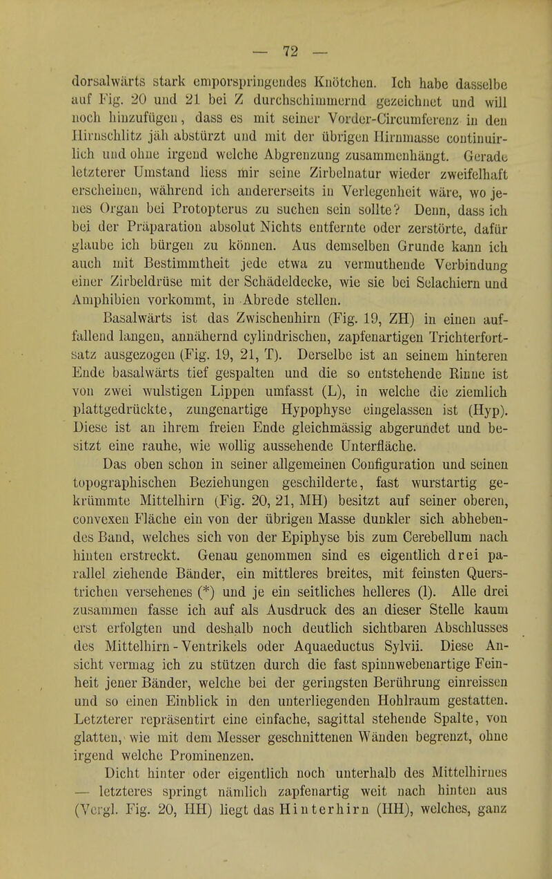 dorsalwärts stark emporspringeiides Knötchen. Ich habe dasselbe auf Fig. 20 und 21 bei Z durchschimmernd gezeichnet und will noch hinzufügen, dass es mit seiner Vorder-Circumferenz in den Hirnschlitz jäh abstürzt und mit der übrigen liirumasse coutinuir- lich und ohne irgend welche Abgrenzung zusammenhängt. Gerade letzterer Umstand Hess mir seine Zirbelnatur wieder zweifelhaft erscheinen, während ich andererseits in Verlegenheit wäre, wo je- nes Organ bei Protopterus zu suchen sein sollte? Denn, dass ich bei der Präparatiou absolut Nichts entfernte oder zerstörte, dafür glaube ich bürgen zu können. Aus demselben Grunde kann ich auch mit Bestimmtheit jede etwa zu vermuthende Verbindung einer Zirbeldrüse mit der Schädeldecke, wie sie bei Selachiern und Amphibien vorkommt, in Abrede stellen. Basalwärts ist das Zwischenhirn (Fig. 19, ZH) in einen auf- fallend laugen, annähernd cylindrischen, zapfenartigen Trichterfort- satz ausgezogen (Fig. 19, 21, T). Derselbe ist an seinem hinteren Ende basalwärts tief gespalten und die so entstehende Rinne ist von zwei wulstigen Lippen umfasst (L), in welche die ziemlich plattgedrückte, zungenartige Hypophyse eingelassen ist (Hyp). Diese ist an ihrem freien Ende gleichmässig abgerundet und be- sitzt eine rauhe, wie wollig aussehende Unterfläche. Das oben schon in seiner allgemeinen Configuration und seinen topographischen Beziehungen geschilderte, fast wurstartig ge- krümmte Mittelhirn (Fig. 20, 21, MH) besitzt auf seiner oberen, convexen Fläche ein von der übrigen Masse dunkler sich abheben- des Band, welches sich von der Epiphyse bis zum Cerebellum nach hinten erstreckt. Genau genommen sind es eigentlich drei pa- rallel ziehende Bänder, ein mittleres breites, mit feinsten Quers- trichen versehenes (*) und je ein seitliches helleres (1). Alle drei zusammen fasse ich auf als Ausdruck des an dieser Stelle kaum erst erfolgten und deshalb noch deutlich sichtbaren Abschlusses des Mittelhirn - Ventrikels oder Aquaeductus Sylvii. Diese An- sicht vermag ich zu stützen durch die fast spinnwebenartige Fein- heit jener Bänder, welche bei der geringsten Berührung einreissen und so einen Einblick in den unterliegenden Hohlraum gestatten. Letzterer repräsentirt eine einfache, sagittal stehende Spalte, von glatten, wie mit dem Messer geschnittenen Wänden begrenzt, ohne irgend welche Prominenzen. Dicht hinter oder eigentlich noch unterhalb des Mittelhirnes — letzteres springt nämlich zapfenartig weit nach hinten aus (Vcrgl. Fig. 20, HH) liegt das Hinterhirn (IIH), welches, ganz