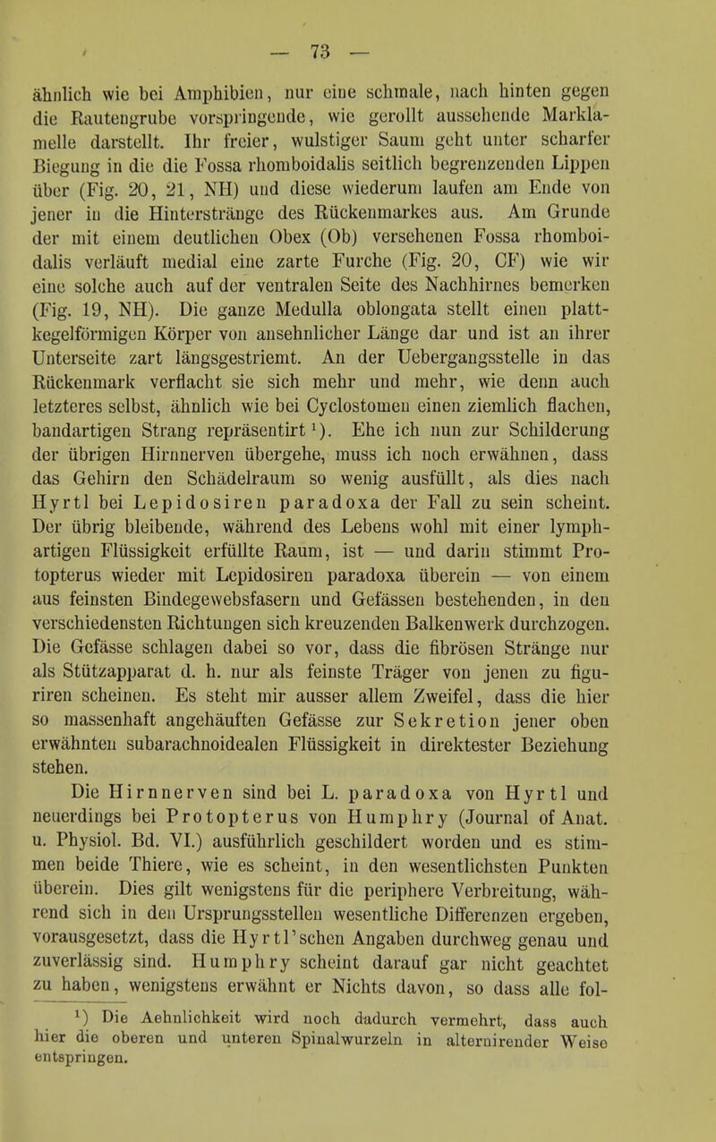 ähnlich wie bei Amphibien, nur eine schmale, nach hinten gegen die Rautengnibe vorspiingcude, wie gerollt aussehende Markla- melle darstellt. Ihr freier, wulstiger Saum geht unter scharfer Biegung in die die Fossa rhoraboidalis seitlich begrenzenden Lippen über (Fig. 20, 21, NH) und diese wiederum laufen am Ende von jener in die Hiuterstränge des Rückenmarkes aus. Am Grunde der mit einem deutlichen Obex (Ob) versehenen Fossa rhomboi- dalis verläuft medial eine zarte Furche (Fig. 20, CF) wie wir eine solche auch auf der ventralen Seite des Nachhirnes bemerken (Fig. 19, NH). Die ganze MeduUa oblongata stellt einen platt- kegelförmigen Körper von ansehnlicher Länge dar und ist an ihrer Unterseite zart längsgestriemt. An der Uebergangsstelle in das Rückenmark verflacht sie sich mehr und mehr, wie denn auch letzteres selbst, ähnlich wie bei Cyclostomen einen ziemlich flachen, bandartigen Strang repräsentirt i). Ehe ich nun zur Schilderung der übrigen Hirnnerven übergehe, muss ich noch erwähnen, dass das Gehirn den Schädelraum so wenig ausfüllt, als dies nach Hyrtl bei Lepidosiren paradoxa der Fall zu sein scheint. Der übrig bleibende, während des Lebens wohl mit einer lymph- artigen Flüssigkeit erfüllte Raum, ist — und darin stimmt Pro- topterus wieder mit Lepidosiren paradoxa überein — von einem aus feinsten Bindegewebsfasern und Gelassen bestehenden, in den verschiedensten Richtungen sich kreuzenden Balkenwerk durchzogen. Die Gefässe schlagen dabei so vor, dass die fibrösen Stränge nur als Stützapparat d. h. nur als feinste Träger von jenen zu figu- riren scheinen. Es steht mir ausser allem Zweifel, dass die hier so massenhaft angehäuften Gefässe zur Sekretion jener oben erwähnten subarachnoidealen Flüssigkeit in direktester Beziehung stehen. Die Hirnnerven sind bei L. paradoxa von Hyrtl und neuerdings bei Protopterus von Humphry (Journal of Anat. u. Physiol. Bd. VL) ausführlich geschildert worden und es stim- men beide Thiere, wie es scheint, in den wesentlichsten Punkten überein. Dies gilt wenigstens für die periphere Verbreitung, wäh- rend sich in den Ursprungsstellen wesentliche Diö'erenzen ergeben, vorausgesetzt, dass die HyrtTsehen Angaben durchweg genau und zuverlässig sind. Humphry scheint darauf gar nicht geachtet zu haben, wenigstens erwähnt er Nichts davon, so dass alle fol- ^) Die Aehnlichkeit wird noch dadurch vermehrt, dass auch hier die oberen und unteren Spinalwurzeln in alteruirender Weise entspringen.