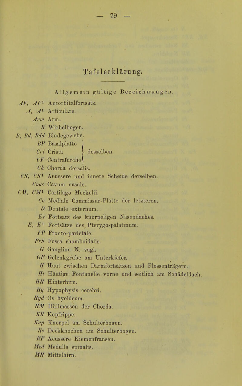 Tafelerklärung. Allgemein gültige Bezeichnungen. JF, JF^ Antorbitalfortsatz. J, A'^ Articulare. Arm Arm. B Wirbelbogen. B, B(i, Bdd BindegCTvebe. BP Basalplatte i Cri Crista > desselben. CF Centrafurche] Ch Chorda dorsalis. CS, CS^ Aeussere und innere Scheide derselben. Cnu.i Cavum nasale. CM, ein Cartilago Meckelii. Co Mediale Commissur-Platte der letzteren. /) Dentale externum. Es Fortsatz des knorpeligen Nasendaches. E, Fortsätze des, Pterygo-palatinum. FP Fronto-parietale. Fr// Fossa rhomboidalis. G Ganglion N. vagi. GF Gelenkgrube am Unterkiefer. // Haut zwischen Darmfortsätzen und Flossen trägem. /// Häutige Fontanelle vorue und seitlich am Schädeldach. //// Hinterhim. Ify Hypophysis cerebri. ffyd Os hyoideum. HM Hüllmassen der Chorda. ffB Kopfrippe. /iftp Knorpel am Schulterbogen. fü Deckknochen am Schulterbogen. /fF Aeussere Kiemenfranseu. Med Medulla spinalis. Mfl Mittelhirn.