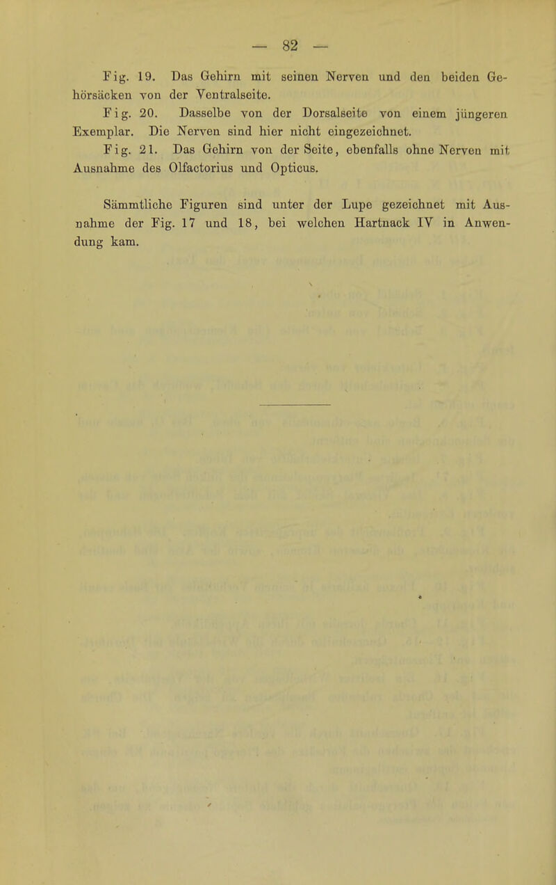 Fig. 19. Das Gehirn mit seinen Nerven und den beiden Ge- hörsäcken von der Ventralseite. Fig. 20. Dasselbe von der Dorsalseite von einem jüngeren Exemplar. Die Nerven sind hier nicht eingezeichnet. Fig. 21. Das Gehirn von der Seite, ebenfalls ohne Nerven mit Ausnahme des Olfactorius und Opticus. Sämmtliche Figuren sind unter der Lupe gezeichnet mit Aus- nahme der Fig. 17 und 18, bei welchen Hartnack IV in Anwen- dung kam.