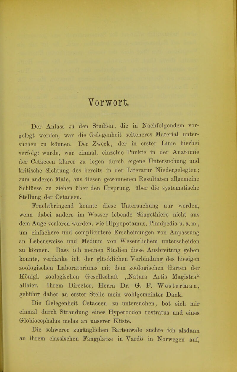 Vorwort. Der Anlass zu den Studien, die in Nachfolgendem vor- gelegt werden, war die Gelegenheit selteneres Material unter- suchen zu können. Der Zweck, der in erster Linie hierbei verfolgt wurde, war einmal, einzelne Punkte in der Anatomie der Cetaceen klarer zu legen durch eigene Untersuchung und kritische Sichtung des bereits in der Literatur Niedergelegten; zum anderen Male, aus diesen gewonnenen Resultaten allgemeine Schlüsse zu ziehen über den Ursprung, über die systematische Stellung der Cetaceen. Fruchtbringend konnte diese Untersuchung nur werden, wenn dabei andere im Wasser lebende Säugethiere nicht aus dem Auge verloren wurden, wie Hippopotamus, Pinnipedia u. a. m., um einfachere und complicirtere Erscheinungen von Anpassung an Lebensweise und Medium von Wesentlichem unterscheiden zu können. Dass ich meinen Studien diese Ausbreitung geben konnte, verdanke ich der glücklichen Verbindung des hiesigen zoologischen Laboratoriums mit dem zoologischen Garten der Königl. zoologischen Gesellschaft „Natura Artis Magistra allhier. Ihrem Director, Herrn Dr. G. F. West er man, gebührt daher an erster Stelle mein wohlgemeinter Dank. Die Gelegenheit Cetaceen zu untersuchen, bot sich mir einmal durch Strandung eines Hyperoodon rostratus und eines Globiocephalus melas an unserer Küste. Die schwerer zugänglichen Bartenwale suchte ich alsdann an ihrem classischen Fangplatze in Vardö in Norwegen auf,