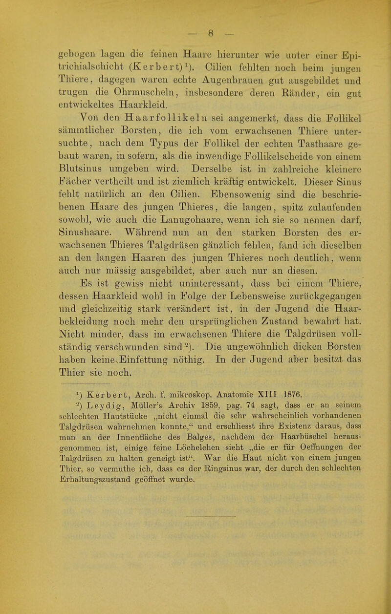 gebogen lagen die leinen Haare hierunter wie unter einer Epi- tricliialschicht (Kerbert)^). Cilien fehlten noch beim jungen Thiere, dagegen waren echte Augenbrauen gut ausgebildet und trugen die Ohrmuscheln, insbesondere deren Ränder, ein gut entwickeltes Haarkleid. Von den Haarfollikeln sei angemerkt, dass die Follikel sämmtlicher Borsten, die ich vom erwachsenen Thiere unter- suchte, nach dem Typus der Follikel der echten Tasthaare ge- baut waren, in sofern, als die inwendige Follikelscheide von einem Blutsinus umgeben wird. Derselbe ist in zahlreiche kleinere Fächer vertheilt und ist ziemlich kräftig entwickelt. Dieser Sinus fehlt natürlich an den Cilien. Ebensowenig sind die beschrie- benen Haare des jungen Thieres, die langen, spitz zulaufenden sowohl, wie auch die Lanugohaare, wenn ich sie so nennen darf, Sinushaare. Während nun an den starken Borsten des er- wachsenen Thieres Talgdrüsen gänzlich fehlen, fand ich dieselben an den langen Haaren des jungen Thieres noch deutlich, wenn auch nur mässig ausgebildet, aber auch nur an diesen. Es ist gewiss nicht uninteressant, dass bei einem Thiere, dessen Haarkleid wohl in Folge der Lebensweise zurückgegangen und gleichzeitig stark verändert ist, in der Jugend die Haar- bekleidung noch mehr den ursprünglichen Zustand bewahrt hat. Nicht minder, dass im erwachsenen Thiere die Talgdrüsen voll- ständig verschwunden sind Die ungewöhnlich dicken Borsten haben keinCvEinfettung nöthig. In der Jugend aber besitzt das Thier sie noch. ^) Kerbert, Arch. f. mikroskop. Anatomie XIII 1876. '■') Leydig, Müller's Archiv 1859, pag. 74 sagt, dass er au seinem schlechten Hautstücke „nicht einmal die sehr wahrscheinlich vorhandenen Talgdrüsen wahrnehmen konnte, und erschliesst ihre Existenz daraus, dass man an der Innenfläche des Balges, nachdem der Haarbüschel heraus- genommen ist, einige feine Löchelchen sieht „die er für Oeffnungen der Talgdrüsen zu halten geneigt ist. War die Haut nicht von einem jungen Thier, so vermuthe ich, dass es der Ringsinus war, der durch den schlechten Erhaltungszustand geöffnet wurde.