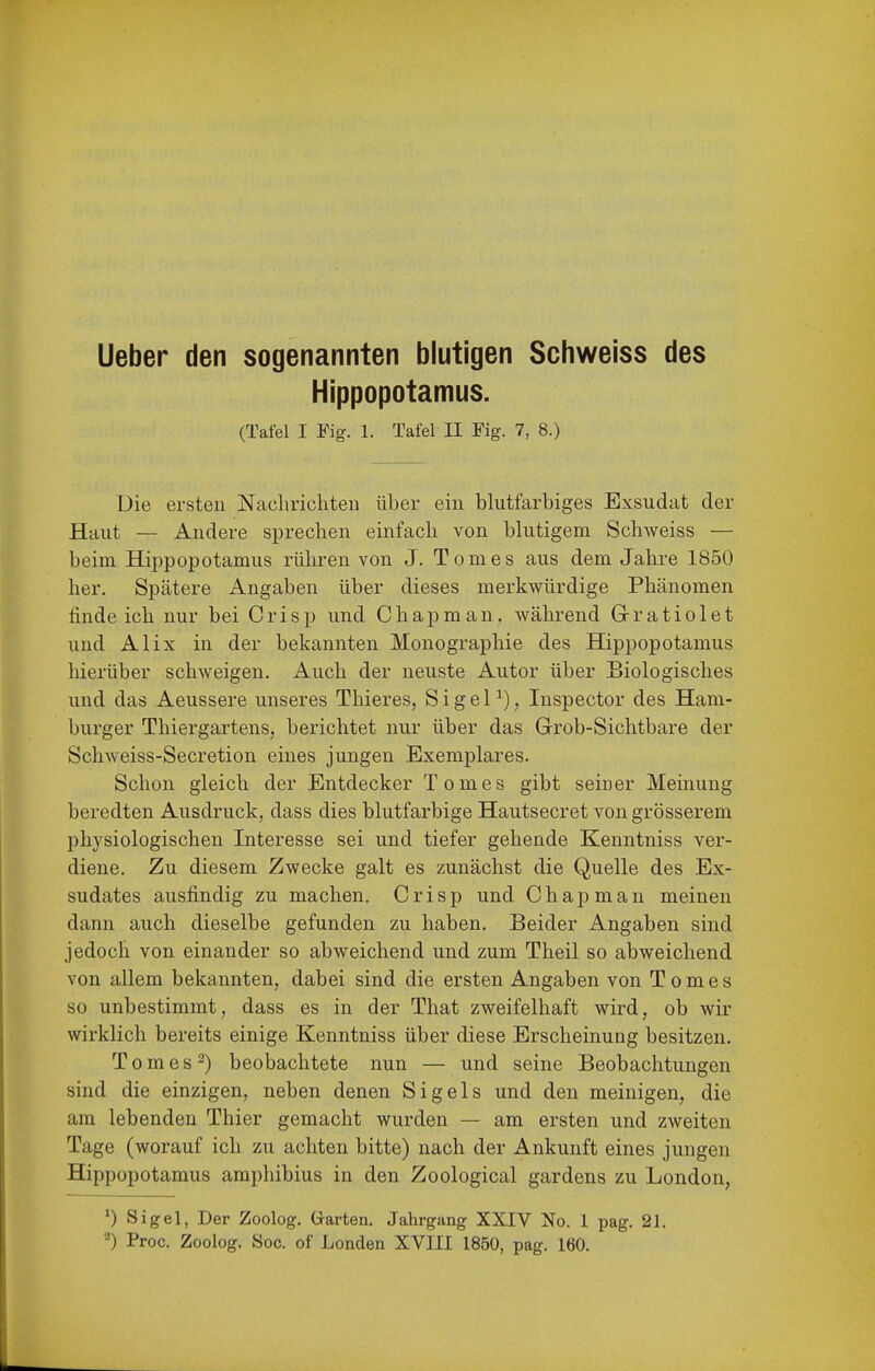 Ueber den sogenannten blutigen Schweiss des Hippopotamus. (Tafel I Fig. 1. Tafel II Fig. 7, 8.) Uie ersten Nachrichten über ein blutfarbiges Exsudat der Haut — Andere sprechen einfach von blutigem Schweiss — beim Hippopotamus rühren von J. Tomas aus dem Jahre 1850 her. Spätere Angaben über dieses merkwürdige Phänomen findeich nur bei Crisp und Chapman, während Grratiolet und AI ix in der bekannten Monographie des Hippopotamus hierüber schweigen. Auch der neuste Autor über Biologisches und das Aeussere unseres Thieres, SigeP), Inspector des Ham- burger Thiergartens, berichtet nur über das Grob-Sichtbare der Scliweiss-Secretion eines jungen Exemplares. Schon gleich der Entdecker Tom es gibt seiner Meinung beredten Ausdruck, dass dies blutfarbige Hautsecret von grösserem physiologischen Interesse sei und tiefer gehende Kenntniss ver- diene. Zu diesem Zwecke galt es zunächst die Quelle des Ex- sudates ausfindig zu machen. Crisp und Chapman meinen dann auch dieselbe gefunden zu haben. Beider Angaben sind jedoch von einander so abweichend und zum Theil so abweichend von allem bekannten, dabei sind die ersten Angaben von T o m e s so unbestimmt, dass es in der That zweifelhaft wird, ob wir wirklich bereits einige Kenntniss über diese Erscheinung besitzen. T 0 m e s 2) beobachtete nun — und seine Beobachtungen sind die einzigen, neben denen Sigels und den meinigen, die am lebenden Thier gemacht wurden — am ersten und zweiten Tage (worauf ich zu achten bitte) nach der Ankunft eines jungen Hippopotamus amphibius in den Zoological gardens zu London, Sigel, Der Zoolog. Garten. Jahrgang XXIV No. 1 pag. 21. ^) Proc. Zoolog. Soc. of Londen XVIII 1850, pag. 160.