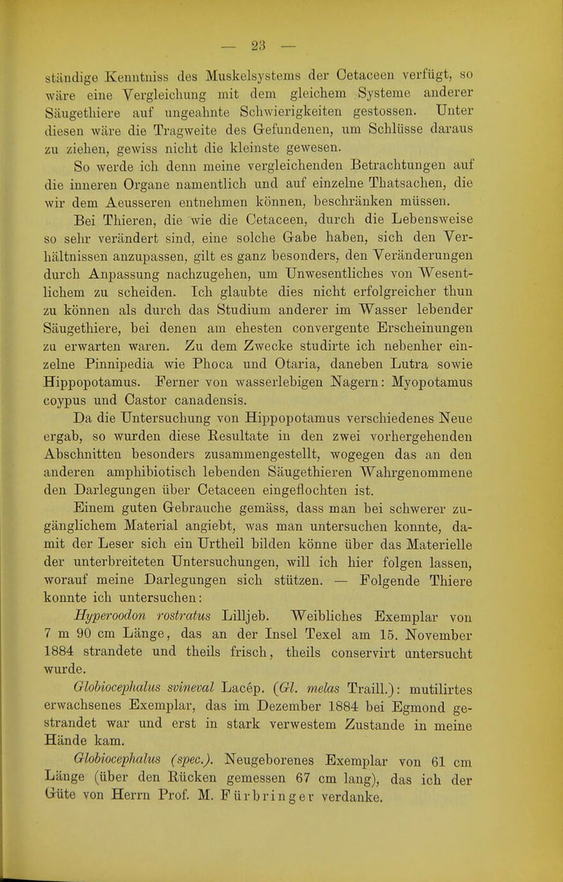 ständige Keniituiss des Miiskelsystems der Cetaceen verfügt, so wäre eine Vergleicliung mit dem gleichem Systeme anderer Säugetliiere auf ungeahnte Schwierigkeiten gestossen. Unter diesen wäre die Tragweite des Gefundenen, um Schlüsse daraus zu ziehen, gewiss nicht die kleinste gewesen. So werde ich denn meine vergleichenden Betrachtungen auf die inneren Organe namentlich und auf einzelne Thatsachen, die wir dem Aeusseren entnehmen können, beschränken müssen. Bei Thieren, die wie die Cetaceen, durch die Lebensweise so sehr verändert sind, eine solche Gabe haben, sich den Ver- hältnissen anzupassen, gilt es ganz besonders, den Veränderungen durch Anpassung nachzugehen, um Unwesentliches von Wesent- lichem zu scheiden. Ich glaubte dies nicht erfolgreicher thun zu können als durch das Studium anderer im Wasser lebender Säugetliiere, bei denen am ehesten convergente Erscheinungen zu erwarten waren. Zu dem Zwecke studirte ich nebenher ein- zelne PinnijDedia wie Phoca und Otaria, daneben Lutra sowie Hippopotamus. Ferner von wasserlebigen Nagern: Myopotamus coypus und Castor canadensis. Da die Untersuchung von Hippopotamus verschiedenes Neue ergab, so wurden diese Resultate in den zwei vorhergehenden Abschnitten besonders zusammengestellt, wogegen das an den anderen amphibiotisch lebenden Säugethieren Wahrgenommene den Darlegungen über Cetaceen eingeflochten ist. Einem guten Gebrauche gemäss, dass man bei schwerer zu- gänglichem Material angiebt, was man untersuchen konnte, da- mit der Leser sich ein Urtheil bilden könne über das Materielle der unterbreiteten Untersuchungen, will ich hier folgen lassen, worauf meine Darlegungen sich stützen. — Folgende Thiere konnte ich untersuchen: Hyperoodon rostratus Lilljeb. Weibliches Exemplar von 7 m 90 cm Länge, das an der Insel Texel am 15. November 1884 strandete und theils frisch, theils conservirt untersucht wurde. Globiocephalus svineval Lacep. (Gl. melas Traill.): mutilirtes erwachsenes Exemplar, das im Dezember 1884 bei Egmond ge- strandet war und erst in stark verwestem Zustande in meine Hände kam. Globiocephalus (spec). Neugeborenes Exemplar von 61 cm Länge (über den Rücken gemessen 67 cm lang), das ich der Güte von Herrn Prof. M. Fürbringer verdanke.