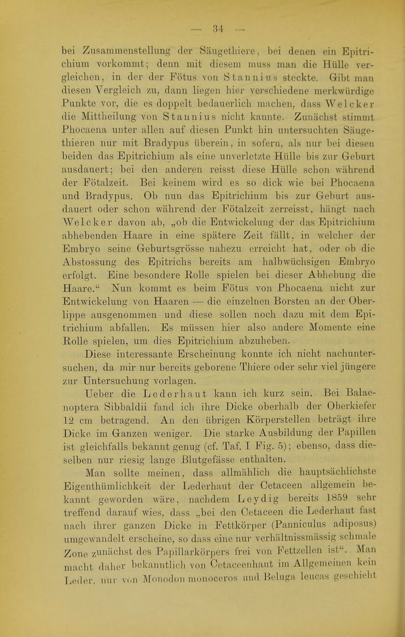 bei Zusammenstellung der Säugetliiere, bei denen ein Epitri- cliium vorkommt; denn mit diesem muss man die Hülle ver- gleicben, in der der Fötus von Stannius steckte. Gibt man diesen Vergleich vxx, dann liegen hier verschiedene merkwürdige Punkte vor, die es doppelt bedauerlich machen, dassWeIcker die Mittlieilung von Stannius nicht kannte. Zunächst stimmt Phocaena unter allen auf diesen Punkt hin untersuchten Säuge- thieren nur mit Bradypus überein, in sofern, als nur bei diesen beiden das Epitrichium als eine unverletzte Hülle bis zur Geburt ausdauert; bei den anderen reisst diese Hülle schon während der B^ötalzeit. Bei keinem wird es so dick wie bei Phocaena und Bradypus, Ob nun das Epitrichium bis zur Geburt aus- dauert oder schon während der Fötalzeit zerreisst, hängt nach Welcker davon ab, „ob die Entwickelung der das Epitrichium abhebenden Haare in eine spätere Zeit fällt, in welcher der Embryo seine Geburtsgrösse nahezu erreicht hat, oder ob die Abstossung des Epitrichs bereits am halbwüchsigen Embryo erfolgt. Eine besondere Rolle spielen bei dieser Abhebung die Haare. Nun kommt es beim Fötus von Phocaena nicht zur Entwickelung von Haaren — die einzelnen Borsten an der Ober- lippe ausgenommen und diese sollen noch dazu mit dem Epi- trichium abfallen. Es müssen hier also andere Momente eine Bolle spielen, um dies Epitrichium abzuheben. Diese interessante Erscheinung konnte ich nicht nachunter- snchen, da mir nur bereits geborene Thiere oder sehr viel jüngere zur Untersuchung vorlagen. Ueber die Leder haut kann ich kurz sein. Bei Balae- noptera Sibbaldii fand ich ihre Dicke oberhalb der Oberkiefer 12 cm betragend. An den übrigen Körperstellen beträgt ihre Dicke im Ganzen weniger. Die starke Ausbildung der Papillen ist gleichfalls bekannt genug (cf. Taf. I Fig. 5); ebenso, dass die- selben nur riesig lange Blutgefässe enthalten. Man sollte meinen, dass allmählich die hauptsächlichste Eigenthümlichkeit der Lederhaut der Cetaceen allgemein be- kannt geworden wäre, nachdem Leydig bereits 1B59 sehr treffend darauf wies, dass „bei den Cetaceen die Lederhaut fast nach ihrer ganzen Dicke in Fettkörper (Panniculus adiposus) umgewandelt erscheine, so dass eine nur verhältnissmässig schmale Zone zunächst des Pa])illarkörpers frei von Fettzellen ist. Man macht daher bekanntlich von Cetaceenhaut im Allgemeinen kein Leder, nur v(-n Moiiodon monoceros und Bolnga leucas geschieht