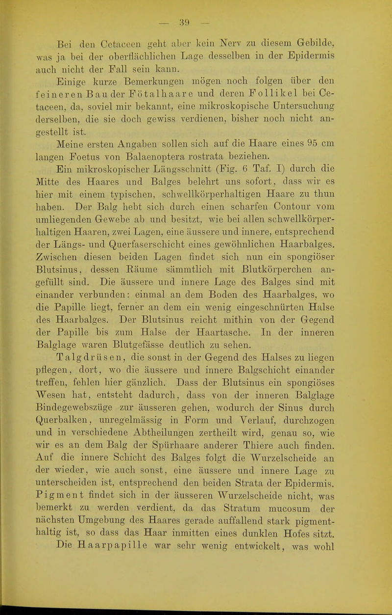 Bei den Cefcaceen gelit aber kein Nerv zu diesem Gebilde, was ja bei der obertlächliclien Lage desselben in der Epidermis auch nicht der Fall sein kann. Einige kurze Bemerkungen mögen noch folgen über den feineren Bau der Fötalhaare und deren Follikel bei Ce- taceen, da, soviel mir bekannt, eine mikroskopische Untersuchung derselben, die sie doch gewiss verdienen, bisher noch nicht an- gestellt ist. Meine ersten Angaben sollen sich auf die Haare eines 95 cm langen Foetus von Balaenoptera rostrata beziehen. Ein mikroskopischer Längsschnitt (Fig. 6 Taf. I) durch die Mitte des Haares und Balges belehrt uns sofort, dass wir es hier mit einem typischen, schwellkörperhaltigen Haare zu thun haben. Der Balg hebt sich durch einen scharfen Contour vom umliegenden G-ewebe ab und besitzt, wie bei allen schwellkörper- haltigen Haaren, zwei Lagen, eine äussere und innere, entsprechend der Längs- und Querfaserschicht eines gewöhnlichen Haarbalges, Zwischen diesen beiden Lagen findet sich nun ein spongiöser Blutsinus, dessen Räume sämmtlich mit Blutkörperchen an- gefüllt sind. Die äussere und innere Lage des Balges sind mit einander verbunden: einmal an dem Boden des Haarbalges, wo die Papille liegt, ferner an dem ein wenig eingeschnürten Halse des Haarbalges. Der Blutsinus reicht mithin von der Gegend der Papille bis zum Halse der Haartasche. In der inneren Balglage waren Blutgefässe deutlich zu sehen. Talgdrüsen, die sonst in der Gegend des Halses zu liegen pflegen, dort, wo die äussere und innere Balgschicht einander treffen, fehlen hier gänzlich. Dass der Blutsinus ein spongiöses Wesen hat, entsteht dadurch, dass von der inneren Balglage Bindegewebszüge zur äusseren gehen, wodurch der Sinus durch Querbalken, unregelmässig in Form und Verlauf, durchzogen und in verschiedene Abtheilungen zertheilt wird, genau so, wie wir es an dem Balg der Spürhaare anderer Thiere auch finden. Auf die innere Schicht des Balges folgt die Wurzelscheide an der wieder, wie auch sonst, eine äussere und innere Lage zu unterscheiden ist, entsprechend den beiden Strata der Epidermis, Pigment findet sich in der äusseren Wurzelscheide nicht, was bemerkt zu werden verdient, da das Stratum mucosum der nächsten Umgebung des Haares gerade auffallend stark pigment- haltig ist, so dass das Haar inmitten eines dunklen Hofes sitzt. Die Haarpapille war sehr wenig entwickelt, was wohl