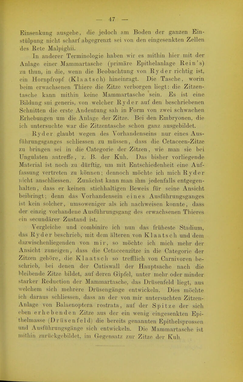 Einseukuiig ausgehe, die jedoch am Boden der ganzen Ein- stülpung nicht scharf abgegrenzt sei von den eingesenkten Zellen des Rete Malpighii. In anderer Terminologie haben wir es mithin hier mit der Anlage enier Mammartasche (primäre Epithelanlage Rein's) zu thun, in die. Avenn die Beobachtung von Ryder richtig ist, ein Hornpfro])f (Klaatsch) hineinragt. Die Tasche, worin beim erwachsenen Thiere die Zitze verborgen liegt: die Zitzen- tasche kann mithin keine Mammartasche sein. Es ist eine Bildung sui generis, von welcher Ryder auf den beschriebenen Schnitten die erste Andeutung sah in Form von zwei schwachen Erhebungen um die Anlage der Zitze. Bei den Embryonen, die ich untersuchte war die Zitzentasche schon ganz ausgebildet. Ryder glaubt wegen des Vorhandenseins nur eines Aus- führungsganges schliessen zu müssen, dass die Cetaceen-Zitze zu bringen sei in die Categorie der Zitzen, wie man sie bei Ungulaten antreffe, z. B. der Kuh. Das bisher vorliegende Material ist noch zu dürftig, um mit Entschiedenheit eine Auf- fassung vertreten zu können; dennoch möchte ich mich Ryder nicht anschliessen. Zunächst kann man ihm jedenfalls entgegen- halten , dass er keinen stichhaltigen Beweis für seine Ansicht beibringt; denn das Vorhandensein eines Ausfülirungsganges ist kein solcher, urasoweniger als ich nachweisen konnte, dass der einzig vorhandene Ausführungsgang des erwachsenen Thieres ein secundärer Zustand ist. Vergleiche und combinire ich nun das früheste Stadium, das Ryder beschrieb, mit dem älteren von Klaatsch und dem dazwischenliegenden von mir, so möchte ich mich mehr der Ansicht zuneigen, dass die Cetaceenzitze in die Categorie der Zitzen gehöre, die Klaatsch so trefflich von Carnivoren be- schrieb, bei denen der Cutiswall der Hauptsache nach die bleibende Zitze bildet, auf deren Gipfel, unter mehr oder minder starker Reduction der Mammartasche, das Drüsenfeld liegt, aus welchem sich mehrere Drüsengänge entwickeln. Dies möchte ich daraus schliessen, dass an der von mir untersuchten Zitzen- Anlage von Balaenoptera rostrata, auf der Spitze der sich eben erhebenden Zitze aus der ein wenig eingesenkten Epi- tlielmasse (Drüsenfeld) die bereits genannten Epithelsprossen und Ausführungsgänge sich entwickeln. Die Mammartasche ist mithin zurückgebiUlet, im Gegensatz zur Zitze der Kuh,