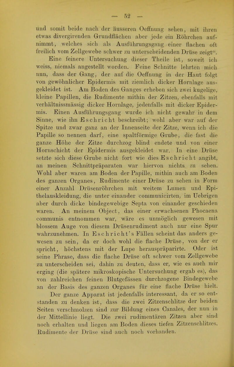 und somit beide nach der äusseren Oeffnung sehen, mit ihren etwas divergirenden Grundflächen aber jede ein Röhrchen auf- nimmt, welclies sich als Ausführungsgang einer flachen oft freilich vom Zellgewebe schwer zu unterscheidenden Drüse zeigt'-'. Eine feinere Untersuchung dieser Theile ist, soweit ich weiss, niemals angestellt worden. Feine Schnitte lehrten mich nun, dass der Gang, der auf die Oeffnung in der Haut folgt von gewöhnlicher Epidermis mit ziemlich dicker Hornlage aus- gekleidet ist. Am Boden des Ganges erheben sich zwei kugelige, kleine Papillen, die Rudimente mithin der Zitzen, ebenfalls mit verhältnissmässig dicker Hornlage, jedenfalls mit dicker Epider- mis. Einen Ausführungsgang wurde ich nicht gewahr in dem Sinne, wie ihn Eschriebt beschreibt; wohl aber war auf der Spitze und zwar ganz an der Innenseite der Zitze, wenn ich die Papille so nennen darf, eine spaltförmige Grube, die fast die ganze Höhe der Zitze durchzog blind endete und von einer Hornschicht der Epidermis ausgekleidet war. In eine Drüse setzte sich diese Grube nicht fort wie dies Esch rieht angibt, an meinen Schnittpräparaten war hiervon nichts zu sehen, Wohl aber waren am Boden der PaiDÜle, mithin auch am Boden des ganzen Organes, Rudimente einer Drüse zu sehen in Form einer Anzahl Drüsenröhrchen mit weitem Lumen und Epi- thelauskleidung, die unter einander communicirten, im Uebrigen aber durch dicke bindegewebige Septa von einander geschieden waren. An meinem Object, das einer erwachsenen Phocaena communis entnommen war, wäre es unmöglich gewesen mit blossem Auge von diesem Drüsenrudiment auch nur eine Spur wahrzunehmen. In Eschricht's Fällen scheint das anders ge- wesen zu sein, da er doch wohl die flache Drüse, von der er spricht, höchstens mit der Lupe herauspräparirte. Oder ist seine Phrase, dass die flache Drüse oft schwer vom Zellgewebe zu unterscheiden sei, dahin zu deuten, dass er, wie es auch mir erging (die spätere mikroskopische Untersuchung ergab es), das von zahlreichen feinen Blutgefässen durchzogene Bindegewebe an der Basis des ganzen Organes für eine flache Drüse hielt. Der ganze Apparat ist jedenfalls interessant, da er so ent- standen zu denken ist, dass die zwei Zitzenschlitze der beiden Seiten verschmolzen sind zur Bildung eines Canales, der nun in der Mittellinie liegt. Die zwei rudimentären Zitzen aber sind noch erhalten und liegen am Boden dieses tiefen Zitzenschlitzes. Rudimente der Drüse sind auch noch vorhanden.