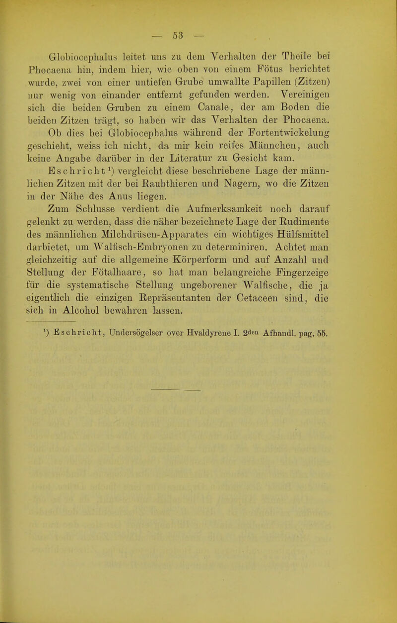 Globioceplialiis leitet uns zu dem Verhalten der Theile bei Phocaena hin, indem hier, wie oben von einem Fötus berichtet wurde, zwei von einer untiefen Grube umwallte Papillen (Zitzen) nur wenig von einander entfernt gefunden werden. Vereinigen sich die beiden Gruben zu einem Canale, der am Boden die beiden Zitzen trägt, so haben wir das Verhalten der Phocaena. Ob dies bei Globiocephalus während der Fortentwickelung geschieht, weiss ich nicht, da mir kein reifes Männchen, auch keine Angabe darüber in der Literatur zu Gesicht kam. Eschriebt^) vergleicht diese beschriebene Lage der männ- lichen Zitzen mit der bei ßaubthieren und Nagern, wo die Zitzen in der Nähe des Anus liegen. Zum Schlüsse verdient die Aufmerksamkeit noch darauf gelenkt zu werden, dass die näher bezeichnete Lage der Rudimente des männlichen Milchdrüsen-Apparates ein wichtiges Hülfsmittel darbietet, um Walfisch-Embryonen zu determiniren. Achtet man gleichzeitig auf die allgemeine Körperform und auf Anzahl und Stellung der Fötalhaare, so hat man belangreiche Fingerzeige für die systematische Stellung ungeborener Walfische, die ja eigentlich die einzigen Repräsentanten der Cetaceen sind, die sich in Alcohol bewahren lassen. *) Eschricht, Undei'sögelser over Hvaldyrene I. 2dou Afhandl. pag. 55.