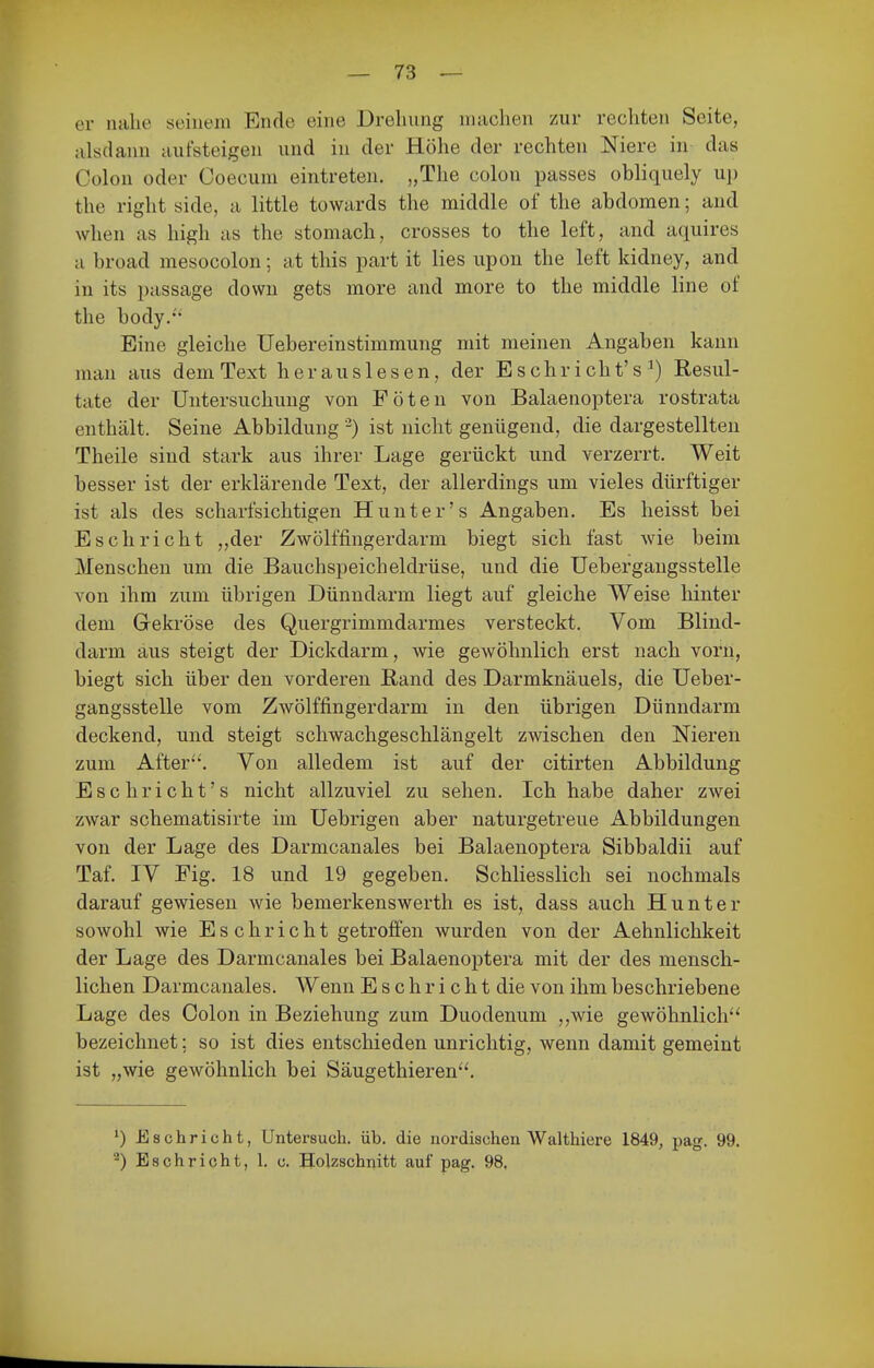 er nahe seinem Ende eine Drehung machen zur rechten Seite, alsdann autsteigen und in der Höhe der rechten Niere in das Colon oder Coecum eintreten. „The colon passes obliquely up the right side, a little towards the middle of the abdomen; and when as high as the stomach, Grosses to the left, and aquires a broad mesocolon; at this part it lies upon the left kidney, and in its passage down gets more and more to the middle line of the body. Eine gleiche Uebereinstimmung mit meinen Angaben kann man aus dem Text herauslesen, der Esehr icht's ^) Resul- tate der Untersuchung von Föten von Balaenoptera rostrata enthält. Seine Abbildung -) ist nicht genügend, die dargestellten Theile sind stark aus ihrer Lage gerückt und verzerrt. Weit besser ist der erklärende Text, der allerdings um vieles dürftiger ist als des scharfsichtigen Hunter's Angaben. Es heisst bei Eschricht ,,der Zwölffingerdarm biegt sich fast wie beim Menschen um die Bauchspeicheldrüse, und die Uebergangsstelle von ihm zum übrigen Dünndarm liegt auf gleiche Weise hinter dem Gekröse des Quergrimmdarmes versteckt. Vom Blind- darm aus steigt der Dickdarm, wie gewöhnlich erst nach vorn, biegt sich über den vorderen ßand des Darmknäuels, die Ueber- gangsstelle vom Zwölffingerdarm in den übrigen Dünndarm deckend, und steigt schwachgeschlängelt zwischen den Nieren zum After*'. Von alledem ist auf der citirten Abbildung Eschricht's nicht allzuviel zu sehen. Ich habe daher zwei zwar schematisirte im Uebrigen aber naturgetreue Abbildungen von der Lage des Darmcanales bei Balaenoptera Sibbaldii auf Taf. IV Fig. 18 und 19 gegeben. Schliesslich sei nochmals darauf gewiesen wie bemerkenswerth es ist, dass auch Hunt er sowohl wie Eschricht getrolfen wurden von der Aehnlichkeit der Lage des Darmcanales bei Balaenoptera mit der des mensch- lichen Darmcanales. Wenn Eschricht die von ihm beschriebene Lage des Colon in Beziehung zum Duodenum ,,wie gewöhnlich bezeichnet; so ist dies entschieden unrichtig, wenn damit gemeint ist „wie gewöhnlich bei Säugethieren'^ ') Eschricht, Untersuch, üb. die nordischen Walthiere 1849, pag. 99. Eschricht, 1. c. Holzschnitt auf pag. 98,