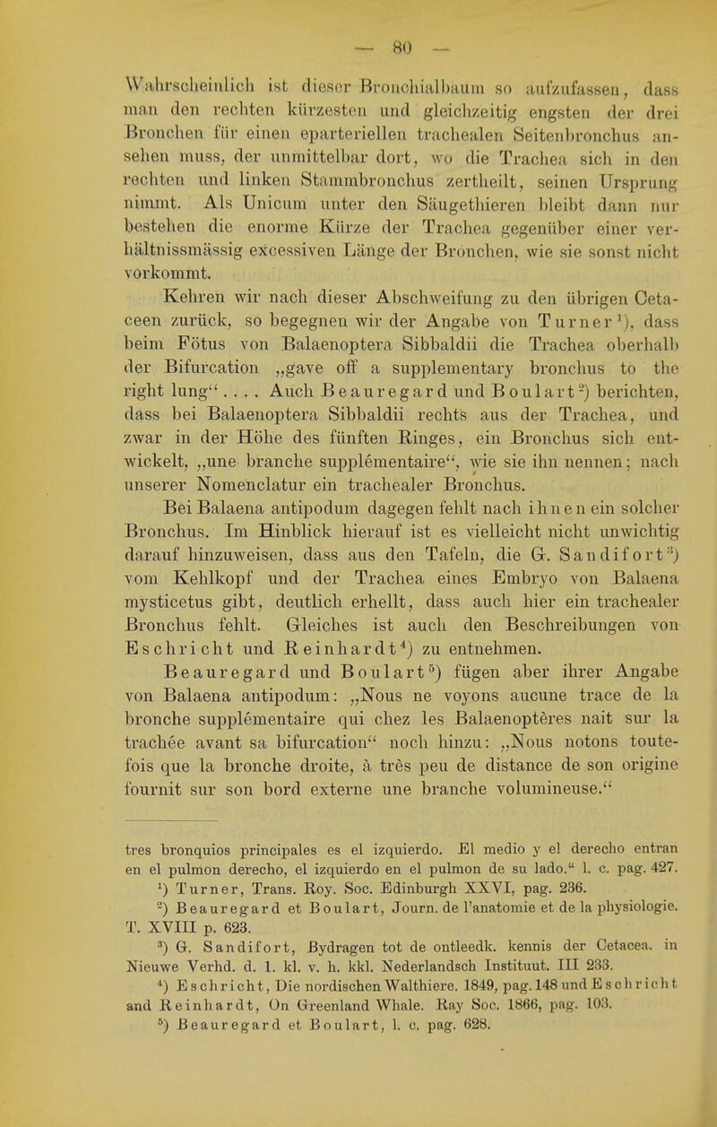 Wahrsclieiulich ist dieser Broiichialbauni so aufzufassen, dass man den rechten kürzesten und gleiclizeitig engsten der drei Bronchen für einen eparteriellen trachealen Seitenbronchus an- sehen muss, der unmittelbar dort, wo die Trachea sich in den rechten und linken Stammbronchus zertheilt, seinen Ursprung nimmt. Als Unicum unter den Säugetliieren bleibt dann nur bestehen die enorme Kürze der Trachea gegenüber einer ver- hältnissmässig excessiven Länge der Bronchen, wie sie sonst nicht vorkommt. Kehren wir nach dieser Abschweifung zu den übrigen Ceta- ceen zurück, so begegnen wir der Angabe von Turner'), dass beim Fötus von Balaenoptera Sibbaldii die Trachea oberhalb der Bifurcation „gave oflf a supplementary bronchus to the right lung*'.... Auch Beauregard und Boulart-) berichten, dass bei Balaenoptera Sibbaldii rechts aus der Trachea, und zwar in der Höhe des fünften Ringes, ein Bronchus sich ent- wickelt, „une brauche supplementaire'', wie sie ihn nennen; nach unserer Nomenclatur ein trachealer Bronchus. BeiBalaena antipodum dagegen fehlt nach ihnen ein solcher Bronchus. Im Hinblick hierauf ist es vielleicht nicht unwichtig darauf hinzuweisen, dass aus den Tafeln, die Gr, Sandif ort'') vom Kehlkopf und der Trachea eines Embryo von Balaena mysticetus gibt, deutlich erhellt, dass auch hier ein trachealer Bronchus fehlt. Grleiches ist auch den Beschreibungen von Esch rieht und E e i n h a r d t *) zu entnehmen. Beauregard und Boulart^) fügen aber ihrer Angabe von Balaena antipodum: „Nous ne voyons aucune trace de la bronche supplementaire qui chez les Balaenopteres nait sur la trachee avant sa bifurcation*' noch hinzu: „Nous notons toute- fois que la bronche droite, ä tres peu de distance de son origine fournit sur son bord externe une brauche volumineuse. tres bronquios principales es el izquierdo. El raedio y el derecho entran en el pulmon derecho, el izquierdo en el pulmon de su lado. 1. c. pag. 427. ') Turner, Trans. Roy. Soc. Edinburgh XXVI, pag. 236. ^) Beauregard et Boulart, Journ. de l'anatomie et de la physiologie. T. XVIII p. 623. =')G-. Sandifort, ßydragen tot de ontleedk. kennis der Cetacea. in Nieuwe Verhd. d. 1. kl. v. h. kkl. Nederlandsch Instituut. III 233. '') Eschricht, Die nordischenWalthiere. 1849, pag.l48undEschricht and Reinhardt, ün Grreenland Whale. Ray Soc. 1866, pag. 103. *) Beauregard et Boulart, 1. c. pag. 628.