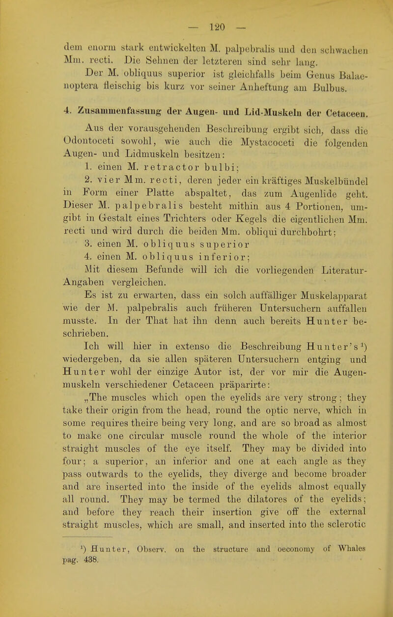 dem enorm stark entwickelten M. palpebntlis und den schwachen Mm. recti. Die Sehnen der letzteren sind sehr lang. Der M. obliquus superior ist gleichfalls beim Genus Balae- noptera Üeischig bis kurz vor seiner Anheftung am Bulbus. 4. Zusammenfassung der Augen- und Lid-Muskeln der Cetaceen. Aus der vorausgehenden Beschreibung ergibt sich, dass die Odontoceti sowohl, wie auch die Mystacoceti die folgenden Augen- und Lidmuskeln besitzen: 1. einen M. retractor bulbi; 2. vier Mm. recti, deren jeder ein kräftiges Muskelbündel in Form einer Platte abspaltet, das zum Augenlide geht. Dieser M. palpebralis besteht mithin aus 4 Portionen, um- gibt in G-estalt eines Trichters oder Kegels die eigentlichen Mm. recti und wird durch die beiden Mm. obliqui durchbohrt; 3. einen M. obliquus superior 4. einen M. obliquus inferior; Mit diesem Befunde will ich die vorliegenden Literatur- Angaben vergleichen. Es ist zu erwarten, dass ein solch auffälliger Muskelapparat wie der M. palpebralis auch früheren Untersuchern auffallen musste. In der That hat ihn denn, auch bereits Hunt er be- schrieben. Ich will hier in extenso die Beschreibung H u n t e r' s ^) wiedergeben, da sie allen späteren Untersuchern entging und Hunter wohl der einzige Autor ist, der vor mir die Augen- muskeln verschiedener Cetaceen präparirte: „The muscles which open the eyelids are very streng; they take their origin from the head, round the optic nerve, which in some requires theire being very long, and are so broad as almost to make one circular muscle round the whole of the interior straight muscles of the eye itself. They may be divided into four; a superior, an inferior and one at each angle as they pass outwards to the eyelids, they diverge and become broader and are inserted into the inside of the eyelids almost equally all round. They may be termed the dilatores of the eyelids; and before they reach their Insertion give off the external straight muscles, which are small, and inserted into the sclerotic ^) Hüntel-, Observ. on the structure and oeconoray of Whales pag. 438.