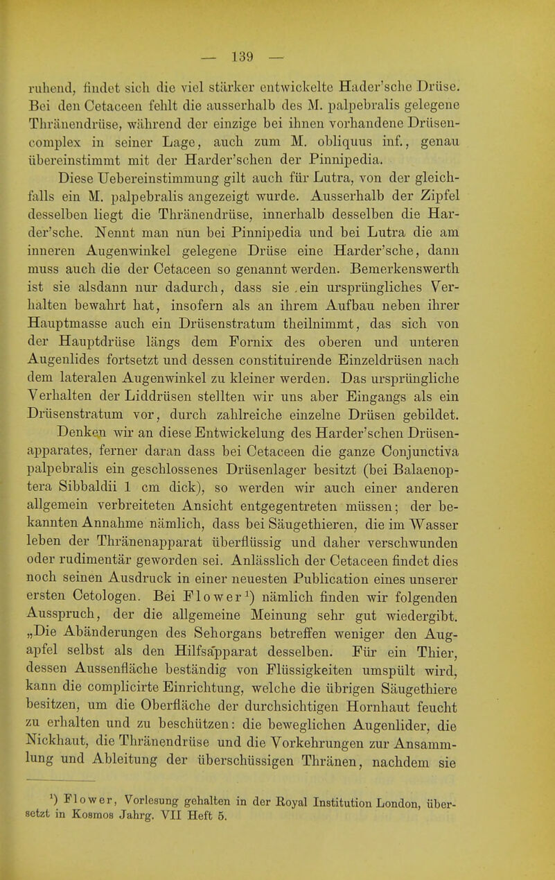 ruhend, findet sich die viel stärker entwickelte Hader'sche Drüse. Bei den Cetaceen fehlt die ausserhalb des M. palpebralis gelegene Thränendrüse, während der einzige bei ihnen vorhandene Drüsen- complex in seiner Lage, auch zum M. obliquus inf., genau übereinstimmt mit der Harder'schen der Pinnipedia. Diese üebereinstimmung gilt auch für Lutra, von der gleich- falls ein M. palpebralis angezeigt wurde. Ausserhalb der Zipfel desselben liegt die Thränendrüse, innerhalb desselben die Har- der'sche. Nennt man nun bei Pinnipedia und bei Lutra die am inneren Augenwinkel gelegene Drüse eine Harder'sche, dann muss auch die der Cetaceen so genannt werden. Bemerkenswerth ist sie alsdann nur dadurch, dass sie .ein ursprüngliches Ver- halten bewahrt hat, insofern als an ihrem Aufbau neben ihrer Hauptmasse auch ein Drüsenstratum theilnimmt, das sich von der Hauptdrüse längs dem Fornix des oberen und unteren Augenlides fortsetzt und dessen constituirende Einzeldrüsen nach dem lateralen Augenwinkel zu kleiner werden. Das ursprüngliche Verhalten der Liddrüsen stellten wir uns aber Eingangs als ein Drüsenstratum vor, durch zahlreiche einzelne Drüsen gebildet. Denken wir an diese Entwickelung des Harder'schen Drüsen- apparates, ferner daran dass bei Cetaceen die ganze Conjunctiva palpebralis ein geschlossenes Drüsenlager besitzt (bei Balaenop- tera Sibbaldii 1 cm dick), so werden wir auch einer anderen allgemein verbreiteten Ansicht entgegentreten müssen; der be- kannten Annahme nämlich, dass bei Säugethieren, die im Wasser leben der Thränenapparat überflüssig und daher verschwunden oder rudimentär geworden sei. Anlässlich der Cetaceen findet dies noch seinen Ausdruck in einer neuesten Publication eines unserer ersten Cetologen. Bei Flow er nämlich finden wir folgenden Ausspruch, der die allgemeine Meinung sehr gut wiedergibt. „Die Abänderungen des Sehorgans betreffen weniger den Aug- apfel selbst als den Hilfsapparat desselben. Für ein Thier, dessen Aussenfläche beständig von Flüssigkeiten umspült wird, kann die complicirte Einrichtung, welche die übrigen Säugethiere besitzen, um die Oberfläche der durchsichtigen Hornhaut feucht zu erhalten und zu beschützen: die beweglichen Augenlider, die Nickhaut, die Thränendrüse und die Vorkehrungen zur Ansamm- lung und Ableitung der überschüssigen Thränen, nachdem sie 0 Flow er, Vorlesung gehalten in der Eoyal Institution London, über- setzt in Kosmos Jahrg. VII Heft 5.