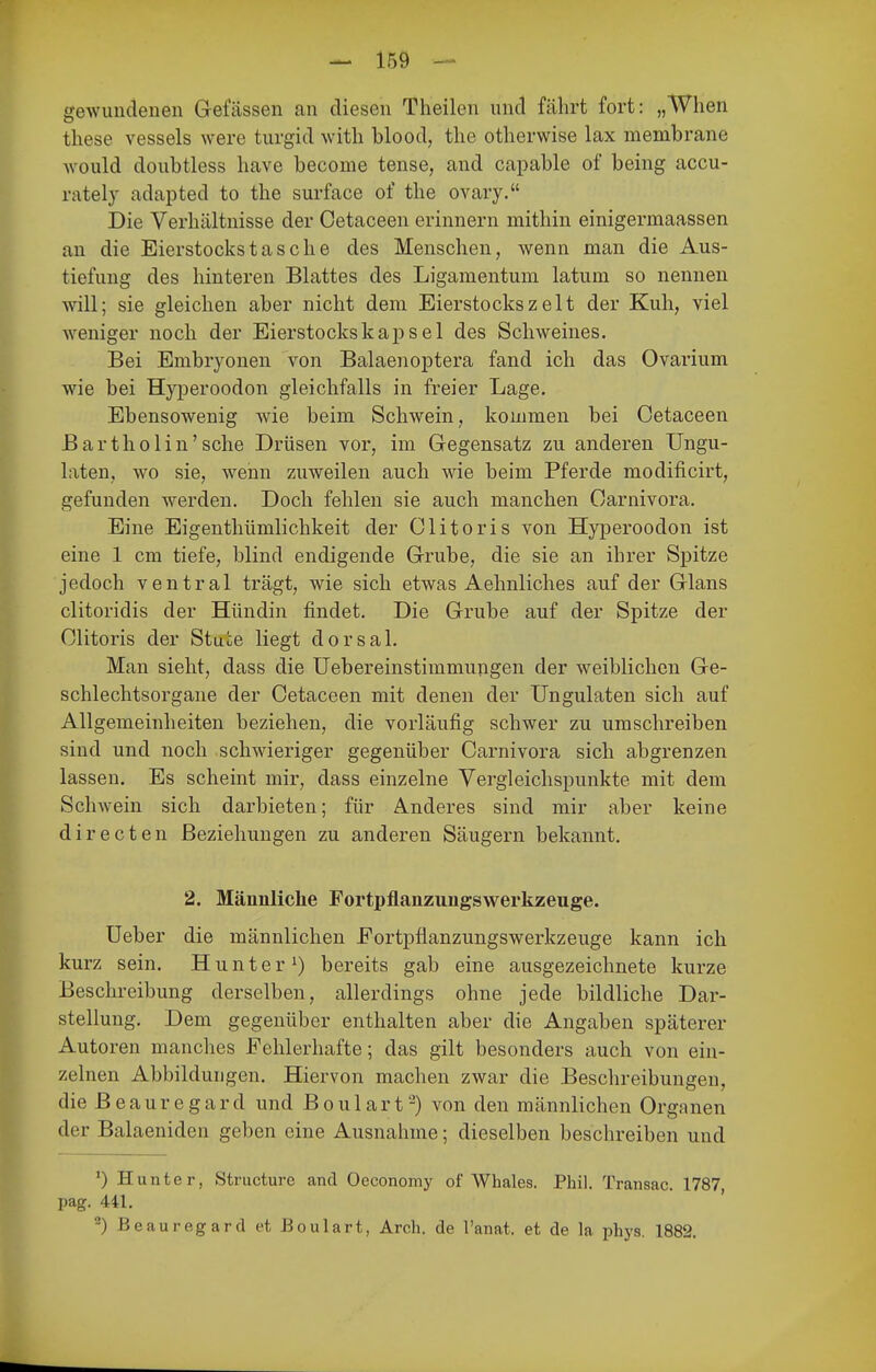 gewundenen Gefässen an diesen Theilen und fährt fort: „When these vessels were turgid witb blood, the otherwise lax membrane would doubtless have become tense, and capable of being accu- rately adapted to the surface of the ovary. Die Verhältnisse der Cetaceen erinnern mithin einigermaassen an die Eierstockstasche des Menschen, wenn man die Aus- tiefuug des hinteren Blattes des Ligamentum latum so nennen will; sie gleichen aber nicht dem Eierstockszelt der Kuh, viel weniger noch der Eierstockskapsei des Schweines. Bei Embryonen von Balaenoptera fand ich das Ovarium wie bei Hyperoodon gleichfalls in freier Lage. Ebensowenig wie beim Schwein, kommen bei Cetaceen Barthol in'sehe Drüsen vor, im Gegensatz zu anderen üngu- laten, wo sie, wenn zuweilen auch wie beim Pferde modificirt, gefunden werden. Doch fehlen sie auch manchen Carnivora, Eine Eigenthümlichkeit der Clitoris von Hyperoodon ist eine 1 cm tiefe, blind endigende Grube, die sie an ihrer Spitze jedoch ventral trägt, wie sich etwas Aehnliches auf der Glans clitoridis der Hündin findet. Die Grube auf der Spitze der Clitoris der Stute liegt dorsal. Man sieht, dass die Uebereinstimmungen der weiblichen Ge- schlechtsorgane der Cetaceen mit denen der Ungulaten sich auf Allgemeinheiten beziehen, die vorläufig schwer zu umschreiben sind und noch schwieriger gegenüber Carnivora sich abgrenzen lassen. Es scheint mir, dass einzelne Vergleichspunkte mit dem Schwein sich darbieten; für Anderes sind mir aber keine directen Beziehungen zu anderen Säugern bekannt. 2. Männliche Fortpflanzungswerkzeuge. üeber die männlichen Eortpflanzungswerkzeuge kann ich kurz sein. Hunter^) bereits gab eine ausgezeichnete kurze Beschreibung derselben, allerdings ohne jede bildliche Dar- stellung. Dem gegenüber enthalten aber die Angaben späterer Autoren manches Fehlerhafte; das gilt besonders auch von ein- zelnen Abbildungen. Hiervon machen zwar die Beschreibungen, die B e a u r e g a r d und B o u 1 a r t'-) von den männlichen Organen der Balaeniden geben eine Ausnahme; dieselben beschreiben und Hunter, Structure and Oeconomy of Whales. Phil. Transac. 1787, pag. 441. -) Beauregard et Boulart, Arch. de l'anat. et de la phys. 1882.