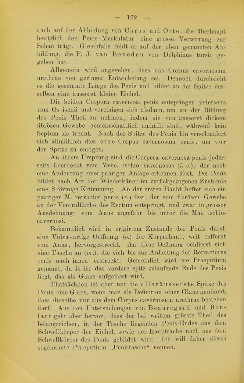 auch auf der Abbildung von Garns und Otto, die überhaupt bezüglich der Penis-Muskulatur eine grosse Verwirrung zur Schau trägt. Gleichfalls fehlt er auf der oben genannten Ab- bildung, die P. J. van Beneden von Delphinus tursio ge- geben hat. Allgemein wird angegeben, dass das Corpus cavernosum urethrae von geringer Entwickelung sei. Dennoch durchzieht es die gesammte Länge des Penis und bildet an der Spitze des- selben eine äusserst kleine Eichel. Die beiden Corpora cavernosa penis entspringen jederseits vom Os ischii und vereinigen sich alsdann, um an der Bildung des Penis Theil zu nehmen, indem sie von äusserst dickem fibrösen Gewebe gemeinschaftlich umhüllt sind, während kein Septum sie trennt. Nach der Spitze des Penis hin verschmälert sich allmählich dies eine Corpus cavernosum penis, um vor der Spitze zu endigen. An ihrem Ursprung sind die Corpora cavernosa penis jeder- seits überdeckt vom Muse, ischio - cavernosus (i. c.), der noch eine Andeutung einer paarigen Anlage erkennen lässt. Der Penis bildet nach Art der Wiederkäuer im zurückgezogenen Zustande eine S förmige Krümmung. An der ersten Bucht heftet sich ein paariger M. retractor penis (r.) fest, der vom iibrösen Gewebe an der Ventralfläche des Rectum entspringt, und zwar in grosser Ausdehnung: vom Anus ungefähr bis unter die Mm. ischio- cavernosi. Bekanntlich wird in erigirtem Zustande der Penis durch eine Vulva-artige Oeffnung (o.) der Körperhaut, weit entfernt vom Anus, hervorgestreckt. An diese Oeffnung schliesst sich eine Tasche an (pr.), die sich bis zur Anheftung der Retractores penis nach innen erstreckt. Gemeinlich wird sie Praeputium genannt, da in ihr das vordere spitz zulaufende Ende des Penis liegt, das als Glans aufgefasst wird. Thatsächlich ist aber nur die aller äusserste Spitze des Penis eine Glans, wenn man als Definition einer Glans annimmt, dass dieselbe nur aus dem Corpus cavernosum urethrae bestehen darf. Aus den Untersuchungen von Beauregard und Bou- lart geht aber hervor, dass der bei weitem grösste Theil des belangreichen, in der Tasche liegenden Penis-Endes aus dem Schwellkörper der Eichel, sowie der Hauptsache nach aus dem Schwellkörper des Penis gebildet Avird. Ich will daher dieses sogenannte Praeputium „Penistasche nennen.