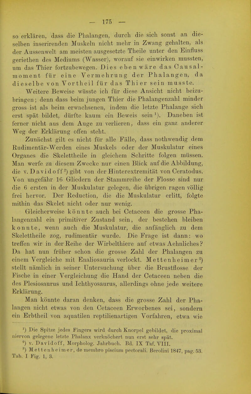 so erklären,, dass die Phalangen, durch die sich sonst an die- selben inserirenden Muskeln nicht mehr in Zwang gehalten, als der Aussenwelt am meisten ausgesetzte Theile unter den Einfluss geriethen des Mediums (Wasser), worauf sie einwirken mussten, um das Thier fortzubewegen. Dies eben wäre das Causal- moment für eine Vermehrung der Phalangen, da dieselbe von Vortheil für das Thier sein musste. Weitere Beweise wüsste ich für diese Ansicht nicht beizu- bringen; denn dass beim jungen Thier die Phalangenzahl minder gross ist als beim erwachsenen, indem die letzte Phalange sich erst spät bildet, dürfte kaum ein Beweis sein Daneben ist ferner nicht aus dem Auge zu verlieren, dass ein ganz anderer Weg der Erklärung offen steht. Zunächst gilt es nicht für alle Fälle, dass nothwendig dem Rudimentär-Werden eines Muskels oder der Muskulatur eines Organes die Skelettheile in gleichem Schritte folgen müssen. Man werfe zu diesem Zwecke nur einen Blick auf die Abbildung, die V. Davidoff-) gibt von der Hinterextremität von Ceratodus. Von ungefähr 16 Grliedern der Stammreihe der Flosse sind nur die 6 ersten in der Muskulatur gelegen, die übrigen ragen völlig frei hervor. Der Reduction, die die Muskulatur erlitt, folgte mithin das Skelet nicht oder nur wenig. Grleicherweise könnte auch bei Cetaceen die grosse Pha- langenzahl ein primitiver Zustand sein, der bestehen bleiben konnte, wenn auch die Muskulatur, die anfänglich zu dem Skelettheile zog, rudimentär wurde. Die Frage ist dann: wo treffen wir in der Reihe der Wirbelthiere auf etwas Aehnliches ? Da hat nun früher schon die grosse Zahl der Phalangen zu einem Vergleiche mit Enaliosauria verlockt. Mettenheimer •'^) stellt nämlich in seiner Untersuchung über die Brustflosse der Fische in einer Vergleichung die Hand der Cetaceen neben die des Plesiosaurus und Ichthyosaurus, allerdings ohne jede weitere Erklärung. Man könnte daran denken, dass die grosse Zahl der Pha- langen nicht etwas von den Cetaceen Erworbenes sei, sondern ein Erbtheil von aquatilen reptilienartigen Vorfahren, etwa wie *) Die Spitze jedes Fingers wird durch Knorpel gebildet, die proximal niervon gelegene letzte Phalanx verknöchert nun erst sehr spät. -) V. Davidoi'f, Morpholog. Jahrbuch. Bd. IX Taf. VIII. ^) Metten he im er, de membro piscium pectorali. Berolini 1847 paw 53 Tab. I Fig. I, 3. ° 