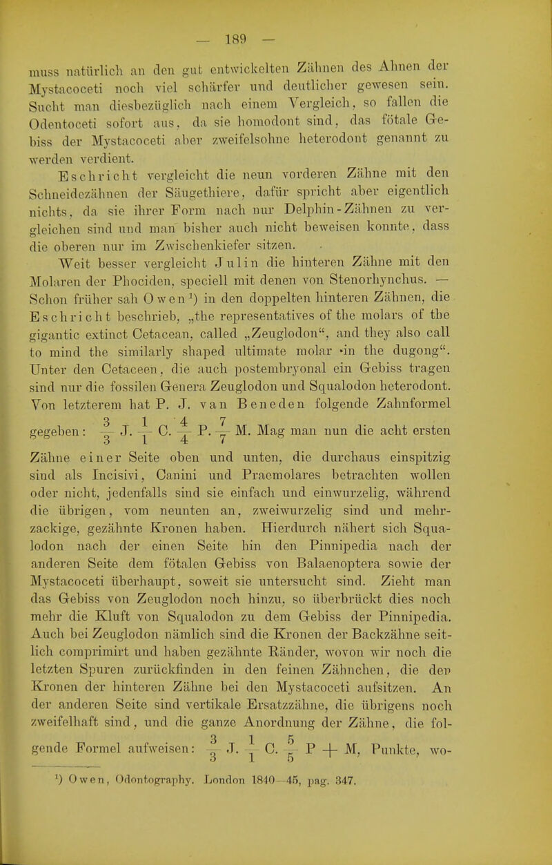 muss natürlich an den gut entwickelten Zähnen des Ahnen der Mystacoceti noch viel schärfer und deutlicher gewesen sein. Sucht man dieshezüglich nach einem Vergleich, so fallen die Odentoceti sofort aus, da sie homodont sind, das fötale Ge- biss der Mystacoceti aber zweifelsohne heterodont genannt zu werden verdient. Esch rieht vergleicht die neun vorderen Zähne mit den Schneidezäbnen der Säugethiere, dafür spricht aber eigentlich nichts, da sie ihrer Form nach nur Delphin-Zähnen zu ver- gleichen sind und man bisher auch nicht beweisen konnte, dass die oberen nur im Zwischenkiefer sitzen. Weit besser vergleicht Julin die hinteren Zähne mit den Molaren der Phociden, speciell mit denen von Stenorhynchus. — Schon früher sah Owen^) in den doppelten hinteren Zähnen, die Eschricht beschrieb, „the representatives of the molars of the gigantic extinct Cetacean, called „Zeuglodon, and they also call to mind the similarly shaped ultimate molar 'in the dugong. Unter den Cetaceen, die auch postembryonal ein Gebiss tragen sind nur die fossilen Genera Zeuglodon und Squalodon heterodont. Von letzterem hat P. J. van Beneden folgende Zahnformel 3 1 4 7 gegeben: J. — C. -r- P. M. Mag man nun die acht ersten .3 1 4: 7 Zähne einer Seite oben und unten, die durchaus einspitzig sind als Incisivi, Canini und Praemolares betrachten wollen oder nicht, jedenfalls sind sie einfach und ein wurzelig, während die übrigen, vom neunten an, zweiwurzelig sind und mehr- zackige, gezähnte Kronen haben. Hierdurch nähert sich Squa- lodon nach der einen Seite hin den Pinnipedia nach der anderen Seite dem fötalen Gebiss von Balaenoptera sowie der Mystacoceti überhaupt, soweit sie untersucht sind. Zieht man das Gebiss von Zeuglodon noch hinzu, so überbrückt dies noch mehr die Kluft von Squalodon zu dem Gebiss der Pinnipedia. Auch bei Zeuglodon nämlich sind die Kronen der Backzähne seit- lich coraprimirt und haben gezähnte Bänder, wovon wir noch die letzten Spuren zurückfinden in den feinen Zähnchen, die den Kronen der hinteren Zähne bei den Mystacoceti aufsitzen. An der anderen Seite sind vertikale Ersatzzähne, die übrigens noch zweifelhaft sind, und die ganze Anordnung der Zähne, die fol- 3 15 gcnde Formel aufweisen: - J. C. > P -|- M, Punkte, wo- ') Owen, Oflontography. London 1840 -45, pag. 347.