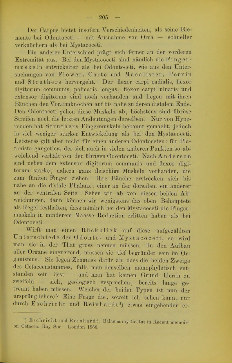 — 206 — Der Carpus bietet insofern Verschiedenheiten, als seine Ele- mente bei Odontoceti — mit Ausnahme von Orca — schneller verknöchern als bei Mystacoceti. Ein anderer Unterschied prägt sich ferner an der vorderen Extremität aus. Bei den Mystacoceti sind nämlich die Finger- muskeln entwickelter als bei Odontoceti, wie aus den Unter- suchungen von El o wer, Carte und Macalister, Perrin und Struthers hervorgeht. Der flexor carpi radialis, flexor digitorum communis, palmaris longus, flexor carpi ulnaris und extensor digitorum sind noch vorhanden und liegen mit ihren Bäuchen den Vorarmknochen auf bis nahe zu deren distalem Ende. Den Odontoceti gehen diese Muskeln ab, höchstens sind fibröse Streifen noch die letzten Andeutungen derselben. Nur von Hype- roodon hat Struthers Fingermuskeln bekannt gemacht, jedoch in viel weniger starker Entwickelung als bei den Mystacoceti. Letzteres gilt aber nicht für einen anderen Odontoceten: für Pla- t;inista gangetica, der sich auch in vielen anderen Punkten so ab- weichend verhält von den übrigen Odontoceti. Nach Anderson sind neben dem extensor digitorum communis und flexor digi- torum starke, nahezu ganz fleischige Muskeln vorhanden, die zum fünften Finger ziehen, Ihre Bäuche erstrecken sich bis nahe an die distale Phalanx; einer an der dorsalen, ein anderer an der ventralen Seite. Sehen wir ab von diesen beiden Ab- weichungen, dann können wir wenigstens das oben Behauptete als Regel festhalten, dass nämlich bei den Mystacoceti die Finger- muskeln in minderem Maasse Eeduction erlitten haben als bei Odontoceti. Wirft man einen Rückblick auf diese aufgezählten Unterschiede der Odonto- und Mystacoceti, so wird man sie in der That gross nennen müssen. In den Aufbau aller Organe eingreifend, müssen sie tief begründet sein im Or- ganismus. Sie legen Zeugniss dafür ab, dass die beiden Zweige des Cetaceenstammes, falls man denselben monophyletisch ent- standen sein lässt — und man hat keinen Grund hieran zu zweifeln — sich, geologisch gesprochen, bereits lange ge- trennt haben müssen. Welcher der beiden Typen ist nun der ursprünglichere? Eine Frage die, soweit ich sehen kann, nur durch Esch rieht und Reinhardt^) etwas eingehender er- ') Esehricht und Reinhardt, Balaena mysticetus in Recent memoirs on Cetaoea. Ray Soc. London 1866.