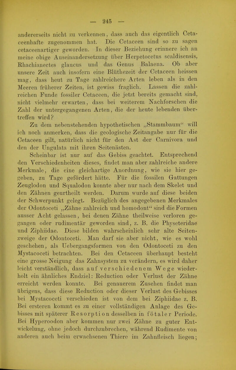 andererseits nicht zu verkennen, dass auch das eigentlich Ceta- ceenhafte zugenommen hat. Die Cetaceen sind so zu sagen cetaceenartiger geworden. In dieser Beziehung erinnere ich an meine obige Auseinandersetzung über Herpetocetus scaldisensis, Rliachianectes glaucus und das Genus Balaena, Ob aber unsere Zeit auch insofern eine Blüthezeit der Cetaceen heissen mag. dass heut zu Tage zahh-eichere Arten leben als in den Meeren früherer Zeiten, ist gewiss fraglich. Lassen die zahl- reichen Funde fossiler Cetaceen, die jetzt bereits gemacht sind, nicht vielmehr erwarten, dass bei weiterem Nachforschen die Zahl der untergegangenen Arten, die der heute lebenden über- treffen wird? Zu dem nebenstehenden hypothetischen „Stammbaum^* will ich noch anmerken, dass die geologische Zeitangabe nur für die Cetaceen gilt, natürlich nicht für den Ast der Carnivora und den der Ungulata mit ihren Seitenästen. Scheinbar ist nur auf das Gebiss geachtet. Entsprechend den Verschiedenheiten dieses, findet man aber zahlreiche andere Merkmale, die eine gleichartige Anordnung, wie sie hier ge- geben, zu Tage gefördert hätte. Für die fossilen Gattungen Zeuglodon und Squalodon konnte aber nur nach dem Skelet und den Zähnen geurtheilt werden. Darum wurde auf diese beiden der Schwerpunkt gelegt. Bezüglich des angegebenen Merkmales der Odontoceti „Zähne zahlreich und homodont sind die Formen ausser Acht gelassen, bei denen Zähne theilweise verloren ge- gangen oder rudimentär geworden sind, z. B. die Physeteridae und Ziphiidae. Diese bilden wahrscheinlich sehr alte Seiten- zweige der Odontoceti. Man darf sie aber nicht, wie es wohl geschehen, als Uebergangsformen von den Odontoceti zu den Mystacoceti betrachten. Bei den Cetaceen überhaupt besteht eine grosse Neigung das Zahnsystem zu verändern, es wird daher leichtverständlich, dass auf verschiedenem Wege wieder- holt ein ähnliches Endziel: Reduction oder Verlust der Zähne erreicht Averden konnte. Bei genauerem Zusehen findet man übrigens, dass diese Reduction oder dieser Verlust des Gebisses bei Mystacoceti verschieden ist von dem bei Ziphiidae z. B. Bei ersteren kommt es zu einer vollständigen Anlage des Ge- bisses mit späterer Resorption desselben in fötaler Periode. Bei Hyperoodon aber kommen nur zwei Zähne zu guter Ent- wickelung, ohne jedoch durchzubrechen, während Rudimente von anderen auch beim erwachsenen Thierc im Zahnlleisch liegen;