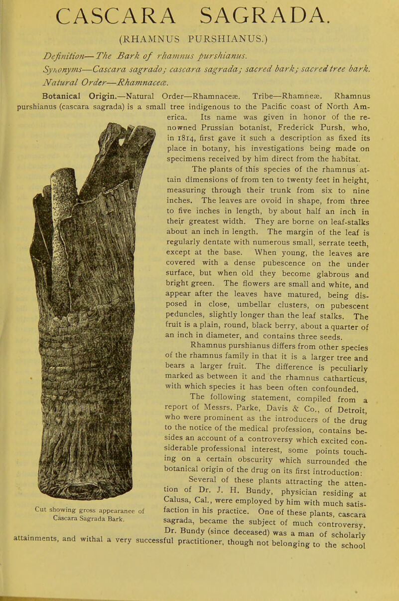 CASCARA SAGRADA. (RHAMNUS PURSHIANUS.) Definition—The Bark of rhatnnus purshianus. Synonyms—Cascara sagrado; cascara sagradaj sacred bark; sacred tree bark. Natural Order—Rhamnacece. Botanical Origin.—Natural Order—Rhamnaceae. Tribe—Rhamneae. Rhamnus purshianus (cascara sagrada) is a small tree indigenous to the Pacific coast of North Am- erica. Its name was given in honor of the re- nowned Prussian botanist, Frederick Pursh, who, in 1814, first gave it such a description as fixed its place in botany, his investigations being made on specimens received by him direct from the habitat. The plants of this species of the rhamnus at- tain dimensions of from ten to twenty feet in height, measuring through their trunk from six to nine inches. The leaves are ovoid in shape, from three to five inches in length, by about half an inch in the^r greatest width. They are borne on leaf-stalks about an inch in length. The margin of the leaf is regularly dentate with numerous small, serrate teeth, except at the base. When young, the leaves are covered with a dense pubescence on the under surface, but when old they become glabrous and bright green. The flowers are small and white, and appear after the leaves have matured, being dis- posed in close, umbellar clusters, on pubescent peduncles, slightly longer than the leaf stalks. The fruit is a plain, round, black berry, about a quarter of an inch in diameter, and contains three seeds. Rhamnus purshianus differs from other species of the rhamnus family in that it is a larger tree and bears a larger fruit. The difference is peculiarly marked as between it and the rhamnus catharticus, with which species it has been often confounded. The following statement, compiled from a report of Messrs. Parke, Davis & Co., of Detroit, who were prominent as the introducers of the drug to the notice of the medical profession, contains be- sides an account of a controversy which excited con- siderable professional interest, some points touch- ing on a certain obscurity which surrounded the botanical origin of the drug on its first introduction: Several of these plants attracting the atten- tion of Dr. J. H. Bundy, physician residing at Calusa, Cal., were employed by him with much satis- faction in his practice. One of these plants, cascara sagrada, became the subject of much controversy. Bundy (since deceased) was a man of scholarlv attamments, and withal a very successful practitioner, though not belonging to the school Cut showing gross appearance of Cascara Sagrada Bark.