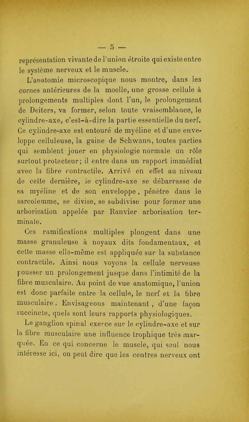 représentation vivante de l'union étroite qui existe entre le svstème nerveux et le muscle. L'anatomie microscopique nous montre, dans les cornes antérieures de la moelle, une grosse cellule à prolongements multiples dont l'un, le prolongement de Deitcrs, va former, selon toute vraisemblance, le cylindre-axe, c'est-à-dire la partie essentielle du nerf. Ce cylindre-axe est entouré de myéline et d'une enve- loppe celluleuse, la gaine de Schwann, toutes parties qui semblent jouer en physiologie normale un rôle surtout protecteur ; il entre dans un rapport immédiat avec la fibre contractile. Arrivé en effet au niveau de cette dernière, le cylindre-axe se débarrasse de sa myéline et de son enveloppe, pénètre dans le sarcolemme, se divise, se subdivise pour former une arborisation appelée par Ranvier arborisation ter- minale. Ces ramifications multiples plongent dans une masse granuleuse à noyaux dits fondamentaux, et cette masse elle-même est appliquée sur la substance contractile. Ainsi nous voyons la cellule nerveuse pousser un prolongement jusque dans l'intimité de la fibre musculaire. Au ymint de vue anatomique, l'union est donc parfaite entre la cellule, le nerf et la fibre musculaire. Envisag-eons maintenant , d'une façon succincte, quels sont leurs rapports physiologiques. Le ganglion spinal exerce sur le cylindre-axe et sur la fibre musculaire une influence trophique très mar- quée. En ce qui concerne le muscle, qui seul nous intéresse ici, on peut dire que les centres nerveux ont