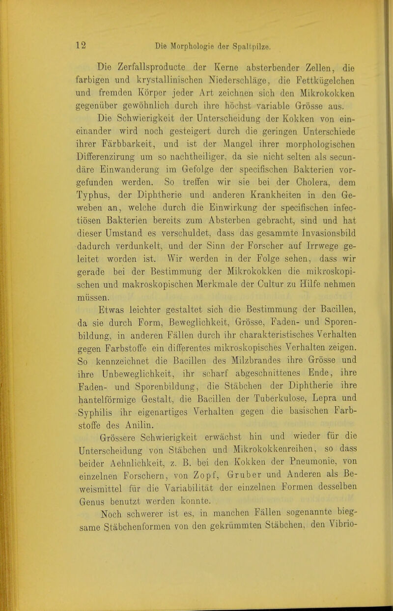 Die Zerfallsproducte der Kerne absterbender Zellen, die farbigen und krystallinischen Niederscliläge, die Fettkügelchen und fremden Körper jeder Art zeichnen sich den Mikrokokiten gegenüber gewöhnlich durch ihre höchst variable Grösse aus. Die Schwierigkeit der Unterscheidung der Kokken von ein- einander wird noch gesteigert durch die geringen Unterschiede ihrer Färbbarkeit, und ist der Mangel ihrer morphologischen Dilferenzirung um so nachtheiliger, da sie nicht selten als secun- däre Einwanderung im Gefolge der specifischen Bakterien vor- gefunden werden. So treffen wir sie bei der Cholera, dem Typhus, der Diphtherie und anderen Krankheiten in den Ge- weben an, welche durch die Einwirkung der specifischen infec- tiösen Bakterien bereits zum Absterben gebracht, sind und hat dieser Umstand es verschuldet, dass das gesammte Invasionsbild dadurch verdunkelt, und der Sinn der Forscher auf Irrwege ge- leitet worden ist. Wir werden in der Folge sehen, dass wir gerade bei der Bestimmung der Mikrokokken die mikroskopi- schen und makroskopischen Merlcmale der Cultur zu Hilfe nehmen müssen. Etwas leichter gestaltet sich die Bestimmung der Bacillen, da sie durch Form, Beweglichkeit, Grösse, Faden- und Sporen- bildung, in anderen Fällen durch ihr charakteristisches Verhalten gegen Farbstoffe ein differentes mikroskopisches Verhalten zeigen. So kennzeichnet die Bacillen des Milzbrandes ihre Grösse und ihre Unbeweglichkeit, ihr scharf abgeschnittenes Ende, ihre Faden- und Sporenbildung, die Stäbchen der Diphtherie ihre hanteiförmige Gestalt, die Bacillen der Tuberkulose, Lepra und Syphilis ihr eigenartiges Verhalten gegen die basischen Farb- stoffe des Anilin. Grössere Schwierigkeit erwächst hin und wieder für die Unterscheidung von Stäbchen und Mikrokokkenreihen, so dass beider Aehnlichkeit, z. B. bei den Kokken der Pneumonie, von einzelnen Forschern, von Zopf, Gruber und Anderen als Be- weismittel für die Variabilität der einzelnen Formen desselben Genus benutzt werden konnte. Noch schwerer ist es, in manchen Fällen sogenannte bieg- same Stäbchenformen von den gekrümmten Stäbchen, den Vibrio-