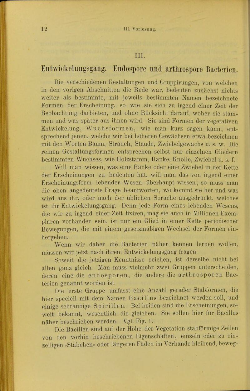 III. Entwickelungsgaiig. Endospore und artlirospore Bacterien. Die verschiedenen Gestaltungen und Gruppimngen, von welchen in den vorigen Abschnitten die Rede war, bedeuten zunächst nichts weiter als bestimmte, mit jeweils bestimmten Namen bezeichnete Formen der Erscheinung, so wie sie sich zu irgend einer Zeit der Beobachtung darbieten, und ohne Rücksicht darauf, woher sie stam- men und was später aus ihnen wird. Sie sind Formen der vegetativen Entwickelung, Wuchsformen, wie man kurz sagen kann, ent- sprechend jenen, welche wir bei höheren Gewächsen etwa bezeichnen mit den Worten Baum, Strauch, Staude, Zwiebelgewächs u. s. w. Die reinen Gestaltungsformen entsprechen selbst nur einzelnen Gliedern bestimmten Wuchses, wie Holzstamm, Ranke, Knolle, Zwiebel u. s. f. Will man wissen, was eine Ranke oder eine Zwiebel in der Kette der Erscheinungen zu bedeuten hat, will man das von irgend einer Erscheinungsform lebender Wesen überhaupt wissen, so muss man die oben angedeutete Frage beantworten, wo kommt sie her und was wird aus ihr, oder nach der üblichen Sprache ausgedrückt, welches ist ihr Entwickelungsgang. Denn jede Form eines lebenden Wesens, die wir zu irgend einer Zeit fixiren, mag sie auch in Millionen Exem- plaren vorhanden sein, ist nur ein Glied in einer Kette periodischer Bewegungen, die mit einem gesetzmäßigen Wechsel der Formen ein- hergehen. Wenn wir daher die Bacterien näher kennen lernen wollen, müssen wir jetzt nach ihrem Entwickelungsgang fragen. Soweit die jetzigen Kenntnisse reichen, ist derselbe nicht bei allen ganz gleich. Man muss vielmehr zwei Gruppen unterscheiden, deren eine die endosporen, die andere die arthrosporen Bac- terien genannt worden ist. Die erste Gruppe uiiifasst eine Anzahl gerader Stabformen, die hier speciell mit dem Namen Bacillus bezeichnet werden soll, und einige schraubige Spirillen. Bei beiden sind die Erscheinungen, so- weit bekannt, wesentlich die gleichen. Sie sollen hier für Bacillus näher beschrieben werden. Vgl. Fig. I. Die Bacillen sind auf der Höhe der Vegetation stabförmige Zellen von den vorhin beschriebenen Eigenschaften, einzeln oder zu ein- zelligen »Stäbchen« oder längeren Fäden im Verbände bleibend, beweg-