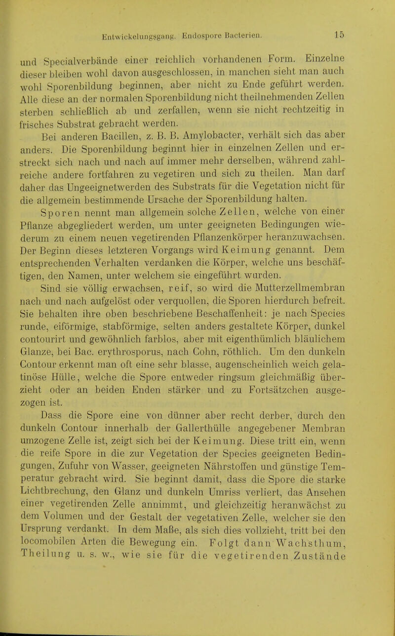 und Specialverbände einer reichlich vorhandenen Form. Einzehie dieser bleiben wohl davon ausgeschlossen, in manchen sieht man auch wohl Sporenbildung beginnen, aber nicht zu Ende geführt werden. Alle diese an der normalen Sporenbildung nicht theilnehmenden Zellen sterben schließlich ab und zerfallen, wenn sie nicht rechtzeitig in frisches Substrat gebracht werden. Bei anderen Bacillen, z. B. B. Amylobacter, verhält sich das aber anders. Die Sporenbildung beginnt hier in einzelnen Zellen und er- streckt sich nach und nach auf immer mehr derselben, während zahl- reiche andere fortfahren zu vegetiren und sich zu theilen. Man darf daher das Ungeeignetwerden des Substrats für die Vegetation nicht für die allgemein bestimmende Ursache der Sporenbildung halten. Sporen nennt man allgemein solche Zellen, welche von einer Pflanze abgegliedert werden, um unter geeigneten Bedingungen wie- derum zu einem neuen vegetirenden Pflanzenkörper heranzuwachsen. Der Beginn dieses letzteren Vorgangs wird Keimung genannt. Dem entsprechenden Verhalten verdanken die Körper, welche uns beschäf- tigen, den Namen, unter welchem sie eingeführt wurden. Sind sie völlig erwachsen, reif, so wird die Mutterzellmembran nach und nach aufgelöst oder verquollen, die Sporen hierdurch befreit. Sie behalten ihre oben beschriebene Beschalfenheit: je nach Speeles runde, eiförmige, stabförmige, selten anders gestaltete Körper, dunkel contourirt und gewöhnlich farblos, aber mit eigenthümlich bläulichem Glänze, bei Bac. erythrosporus, nach Cohn, röthlich. Um den dunkeln Contour erkennt man oft eine sehr blasse, augenscheinlich weich gela- tinöse Hülle, welche die Spore entweder ringsum gleichmäßig über- zieht oder an beiden Enden stärker und zu Fortsätzchen ausge- zogen ist. Dass die Spore eine von dünner aber recht derber, durch den dunkeln Contour innerhalb der Gallerthülle angegebener Membran umzogene Zelle ist, zeigt sich bei der Keimung. Diese tritt ein, wenn die reife Spore in die zur Vegetation der Speeles geeigneten Bedin- gungen, Zufuhr von Wasser, geeigneten Nährstoffen und günstige Tem- peratur gebracht wird. Sie beginnt damit, dass die Spore die starke Lichtbrechung, den Glanz und dunkeln Umriss verliert, das Ansehen einer vegetirenden Zelle annimmt, und gleichzeitig heranwächst zu dem Volumen und der Gestalt der vegetativen Zelle, welcher sie den Ursprung verdankt. In dem Maße, als sich dies vollzieht, tritt bei den locomobilen Arten die Bewegung ein. Folgt dann Wachsthum, Theilung u. s. w., wie sie für die vegetirenden Zustände