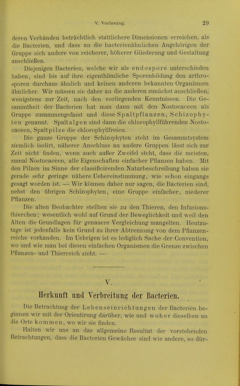 deren Verbänden beträchtlich stattlichere Dimensionen erreichen, als die Bacterien, und dass an die bacterienähnlichen Angehörigen der Gruppe sich andere von reicherer, höherer Gliederung und Gestaltung anschließen. Diejenigen Bacterien, welche v^ir als endospore unterschieden haben, sind bis auf ihre eigenthümliche Sporenbildung den arthro- sporen durchaus ähnlich und keinen anderen bekannten Organismen ähnlicher. Wir müssen sie daher an die anderen zunächst anschließen, wenigstens zur Zeit, nach den vorliegenden Kenntnissen. Die Ge- sammtheit der Bacterien hat man dann mit den Nostocaceen als Gruppe zusammengefasst und diese Spaltpflanzen, Schizophy- ten genannt. Spaltalgen sind dann die chlorophyllführenden Nosto- caceen, Spaltpilze die chlorophyllfreien. Die ganze Gruppe der Schizophyten steht im Gesammtsystem ziemlich isolirt, näherer Anschluss an andere Gruppen lässt sich zur Zeit nicht finden, wenn auch außer Zweifel steht, dass die meisten, zumal Nostocaceen, alle Eigenschaften einfacher Pflanzen haben. Mit den Pilzen im Sinne der classificirenden Naturbeschreibung haben sie gerade sehr geringe nähere Uebereinstimmung, wie schon eingangs gesagt worden ist. — Wir können daher nur sagen, die Bacterien sind, nebst den übrigen Schizophyten, eine Gruppe einfacher, niederer Pflanzen. Die alten Beobachter stellten sie zu den Thieren, den Infusions- thierchen; wesentlich wohl auf Grund der Beweglichkeit und weil den Alten die Grundlagen für genauere Vergleichung mangelten. Heutzu- tage ist jedenfalls kein Grund zu ihrer Abtrennung von dem Pflanzen- reiche vorhanden. Im Uebrigen ist es lediglich Sache der Convention, wo und wie man bei diesen einfachen Organismen die Grenze zwischen Pflanzen- und Thierreich zieht. — V. Herkunft und Verbreitung der Bacterien. Die Betrachtung der Lebenseinrichtungen der Bacterien be- ginnen wir mit der Orientirung darüber, wie und woher dieselben an die Orte kommen, wo wir sie finden. Halten wir uns an das allgemeine Resultat der vorstehenden Betrachtungen, dass die Bacterien Gewächse sind wie andere, so dür-