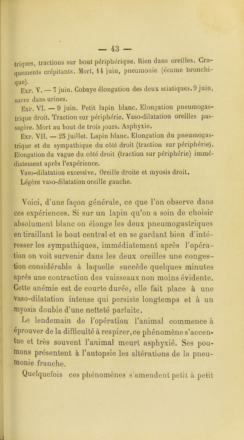 triques, tractions sur bout périphérique. Rien dans oreilles. Cra- quements crépitants. Mort, 14 juin, pneumonie (écume bronchi- que)- . . Ej,p_ V. — 7 juin. Cobaye élongation des deux sciatiques. 9 juin, sucre dans urines. Exp. VI. — 9 juin. Petit lapin blanc. Elongation pneumogas- trique droit. Traction sur périphérie. Vaso-dilatation oreilles pas- sagère. Mort au bout de trois jours. Asphyxie. Exp. VIT. — 25 juillet. Lapin blanc. Elongation du pneumogas- trique et du sympathique du côté droit (traction sur périphérie). Elongation du vague du côté droit (traction sur périphérie) immé- diatement après l'expérience. Vaso-dilatation excessive. Oreille droite et myosis droit. Légère vaso-dilatation oreille gauche. Voici, d'une façon générale, ce que l'on observe dans ces expériences. Si sur un lapin qu'on a soin de choisir absolument blanc on élonge les deux pneumogastriques en tiraillant le bout central et en se gardant bien d'inté- resser les sympathiques, immédiatement après l'opéra- tion on voit survenir dans les deux oreilles une conges- tion considérable à laquelle succède quelques minutes après une contraction des vaisseaux non moins évidente. Cette anémie est de courte durée, elle fait place à une vaso-dilatation intense qui persiste longtemps et à un myosis double d'une netteté parfaite. Le lendemain de l'opération l'animal commence à éprouver de la difficulté à respirer,ce phénomène s'accen- tue et très souvent l'animal meurt asphyxié. Ses pou- mons présentent à l'autopsie les altérations de la pneu- monie franche. Quelquefois ces phénomènes s'amendent petit à petit