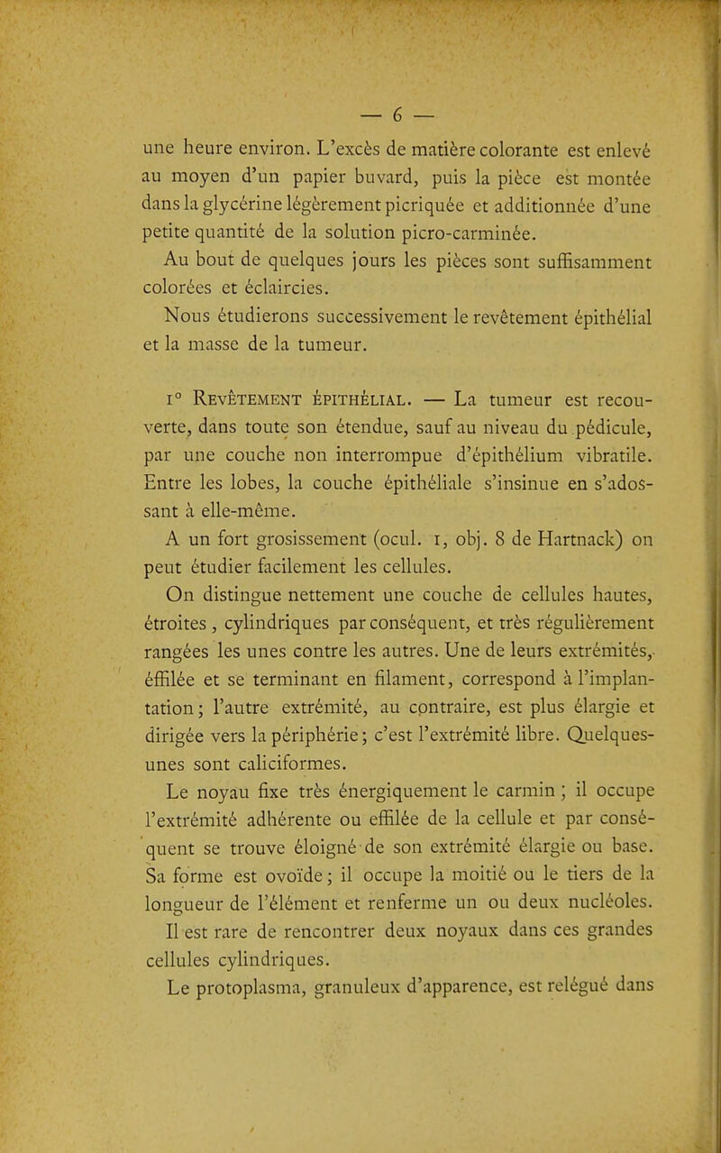 une heure environ. L'excès de matière colorante est enlevé au moyen d'un papier buvard, puis la pièce est montée dans la glycérine légèrement picriquée et additionnée d'une petite quantité de la solution picro-carminée. Au bout de quelques jours les pièces sont suffisamment colorées et éclaircies. Nous étudierons successivement le revêtement épithélial et la masse de la tumeur, 1° Revêtement épithélial. — La tumeur est recou- verte, dans toute son étendue, sauf au niveau du pédicule, par une couche non interrompue d'épithélium vibratile. Entre les lobes, la couche épithéliale s'insinue en s'ados- sant à elle-même. A un fort grosissement (ocul. i, obj. 8 de Hartnack) on peut étudier facilement les cellules. On distingue nettement une couche de cellules hautes, étroites , cylindriques par conséquent, et très régulièrement rangées les unes contre les autres. Une de leurs extrémités,- éffilée et se terminant en filament, correspond à l'implan- tation; l'autre extrémité, au contraire, est plus élargie et dirigée vers la périphérie ; c'est l'extrémité libre. Quelques- unes sont caHciformes. Le noyau fixe très énergiquement le carmin ; il occupe l'extrémité adhérente ou effilée de la cellule et par consé- quent se trouve éloigné-de son extrémité élargie ou base. Sa forme est ovoïde ; il occupe la moitié ou le tiers de la longueur de l'élément et renferme un ou deux nucléoles. Il est rare de rencontrer deux noyaux dans ces grandes cellules cyUndriques. Le protoplasma, granuleux d'apparence, est relégué dans