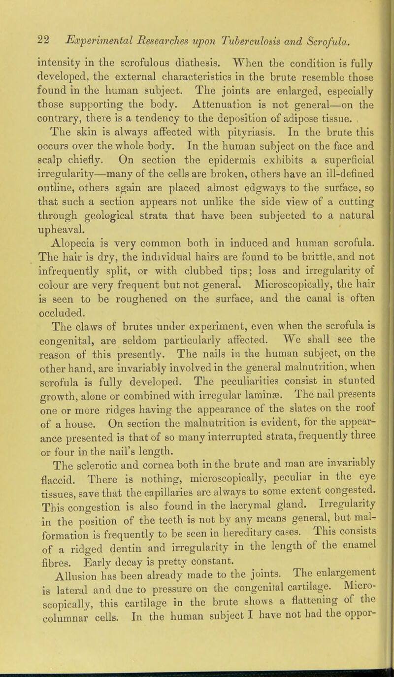 intensity in the scrofulous diathesis. When the condition is fully developed, the external characteristics in the brute resemble those found in the human subject. The joints are enlarged, especially those supporting the body. Attenuation is not general—on the contrary, there is a tendency to the deposition of adipose tissue. The skin is always affected with pityriasis. In the brute this occurs over the whole body. In the human subject on the face and scalp chiefly. On section the epidermis exhibits a superficial irregularity—many of the cells are broken, others have an ill-defined outline, others again are placed almost edgways to the surface, so that such a section appears not unlike the side view of a cutting through geological strata that have been subjected to a natural upheaval. Alopecia is very common both in induced and human scrofula. The hair is dry, the individual hairs are found to be brittle, and not infrequently split, or with clubbed tips; loss and irregularity of colour are very frequent but not general. Microscopically, the hair is seen to be roughened on the surface, and the canal is often occluded. The claws of brutes under experiment, even when the scrofula is congenital, are seldom particularly affected. We shall see the reason of this presently. The nails in the human subject, on the other hand, are invariably involved in the general malnutrition, when scrofula is fully developed. The peculiarities consist in stunted growth, alone or combined with irregular laminge. The nail presents one or more ridges having the appearance of the slates on the roof of a house. On section the malnutrition is evident, for the appear- ance presented is that of so many interrupted strata, frequently three or four in the nail's length. The sclerotic and cornea both in the brute and man are invariably flaccid. There is nothing, microscopically, peculiar in the eye tissues, save that the capillaries are always to some extent congested. This congestion is also found in the lacrymal gland. Irregularity in the position of the teeth is not by any means general,^ but mal- formation is frequently to be seen in hereditary cases. This consists of a ridged dentin and irregularity in the length of the enamel fibres. Early decay is pretty constant. Allusion has been already made to the joints. The enlargement is lateral and due to pressure on the congenital cartilage. Micro- scopically, this cartilage in the brute shows a flattening of the columnar cells. In the human subject I have not had the oppor-