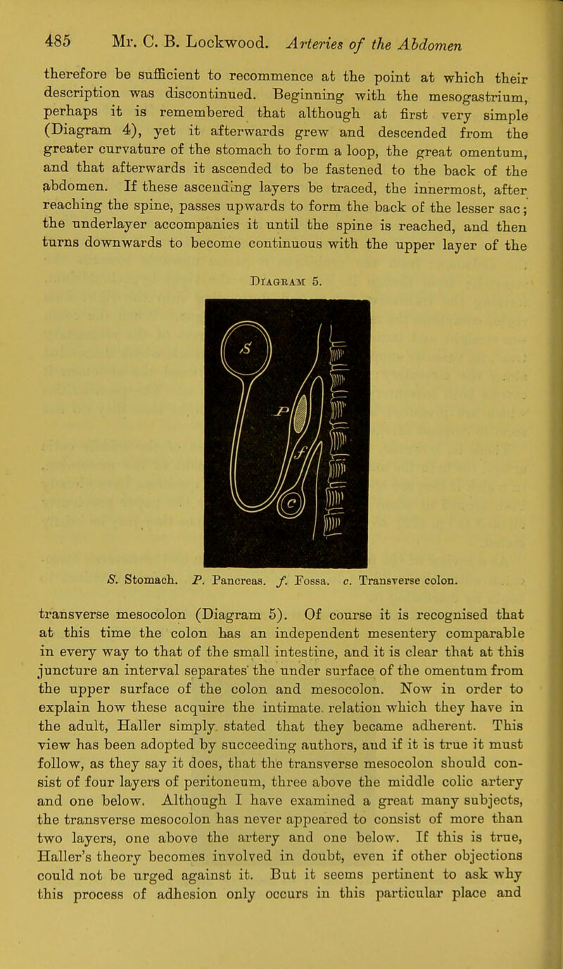 therefore be sufficient to recommence at the point at which their description was discontinued. Beginning with the mesogastrium, perhaps it is remembered that although at first very simple (Diagram 4), yet it afterwards grew and descended from the greater curvature of the stomach to form a loop, the great omentum, and that afterwards it ascended to be fastened to the back of the abdomen. If these ascending layers be traced, the innermost, after reaching the spine, passes upwards to form the back of the lesser sac; the underlayer accompanies it until the spine is reached, and then turns downwards to become continuous with the upper layer of the Diagram 5. S. Stomach. P. Pancreas, f. Fossa, c. Transverse colon. transverse mesocolon (Diagram 5). Of course it is recognised that at this time the colon has an independent mesentery comparable in every way to that of the small intesbine, and it is clear that at this juncture an interval separates' the under surface of the omentum from the upper surface of the colon and mesocolon. Now in order to explain how these acquire the intimate, relation which they have in the adult, Haller simply, stated that they became adherent. This view has been adopted by succeeding authors, aud if it is true it must follow, as they say it does, that the transverse mesocolon should con- sist of four layers of peritoneum, three above the middle colic artery and one below. Although I have examined a great many subjects, the transverse mesocolon has never appeared to consist of more than two layers, one above the artery and one below. If this is true, Haller's theory becomes involved in doubt, even if other objections could not be urged against it. But it seems pertinent to ask why this process of adhesion only occurs in this particular place and