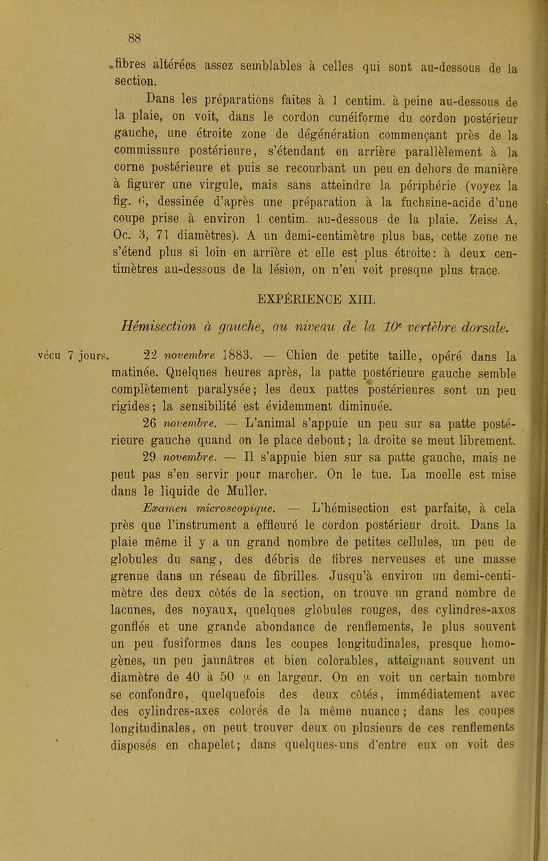 .fibres altérées assez semblables à celles qui sont au-dessous de la section. Dans les préparations faites à 1 centim. à peine au-dessous de la plaie, on voit, dans le cordon cunéiforme du cordon postérieur gauche, une étroite zone de dégénération commençant près de la commissure postérieure, s'étendant en arrière parallèlement à la corne postérieure et puis se recourbant un peu en dehors de manière à figurer une virgule, mais sans atteindre la périphérie (voyez la fig. ('', dessinée d'après une préparation à la fuchsine-acide d'une coupe prise à environ 1 centim. au-dessous de la plaie. Zeiss A, Oc. 3, 71 diamètres). A un demi-centimètre plus bas, cette zone ne s'étend plus si loin en arrière et elle est plus étroite: à deux cen- timètres au-dessous de la lésion, on n'en voit presque plus trace. EXPÉRIENCE XIII. Hémisection à gauche, au niueau de la 10^ vertèbre dorsale. vécu 7 jours. 22 novembre 1883. — Chien de petite taille, opéré dans la matinée. Quelques heures après, la patte postérieure gauche semble complètement paralysée; les deux pattes postérieures sont un peu rigides; la sensibilité est évidemment diminuée. 26 novembre. — L'animal s'appuie un peu sur sa patte posté- rieure gauche quand on le place debout ; la droite se meut librement. 29 novembre. — Il s'appuie bien sur sa patte gauche, mais ne peut pas s'en servir pour marcher. On le tue. La moelle est mise dans le liquide de Muller. Examen microscopique. — L'hémisection est parfaite, à cela près que l'instrument a effleuré le cordon postérieur droit. Dans la plaie même il y a un grand nombre de petites cellules, un peu de globules du sang, des débris de fibres nerveuses et une masse grenue dans un réseau de fibrilles. Jusqu'tà environ un demi-centi- mètre des deux côtés de la section, on trouve un grand nombre de lacunes, des noyaux, quelques globules rouges, des cylindres-axes gonflés et une grande abondance de renflements, le plus souvent un peu fusiformes dans les coupes longitudinales, presque homo- gènes, un peu jaunâtres et bien colorables, atteignant souvent un diamètre de 40 à 50 \i- en largeur. On en voit un certain nombre se confondre, quelquefois des deux côtés, immédiatement avec des cylindres-axes colorés de la même nuance ; dans les coupes longitudinales, on peut trouver deux ou plusieurs de ces renflements disposés en chapelet; dans quelques-uns d'entre eux on voit des