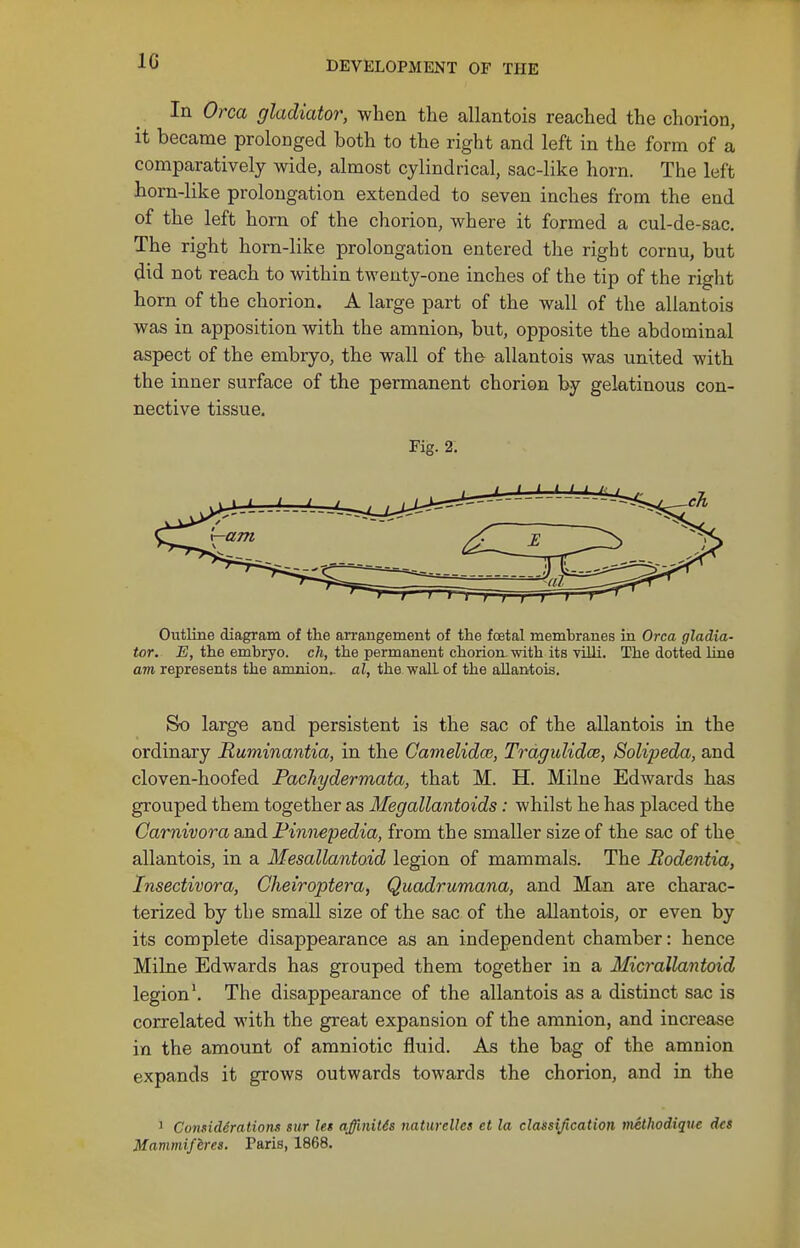 In Orca gladiator, when the allantois reached the chorion, it became prolocged both to the right and left in the form of a comparatively wide, almost cylindrical, sac-like horn. The left horn-like prolongation extended to seven inches from the end of the left horn of the chorion, where it formed a cul-de-sac. The right horn-like prolongation entered the right cornu, but did not reach to within twenty-one inches of the tip of the right horn of the chorion. A large part of the wall of the allantois was in apposition with the amnion, but, opposite the abdominal aspect of the embryo, the wall of the allantois was united with the inner surface of the permanent chorion by gelatinous con- nective tissue. Fig. 2. Outline diagram of the arrangement of the foetal membranes ia Orca gladia- tor. E, the embryo, ch, the permanent chorion with its villi. The dotted, line am represents the amnion., al, the wall of the allantois. So large and persistent is the sac of the allantois in the ordinary Ruminantia, in the Gamelidce, TraguUdce, Solipeda, and cloven-hoofed Pachydermata, that M. H. Milne Edwards has grouped them together as Megallantoids: whilst he has placed the Carnivora and Finnepedia, from the smaller size of the sac of the allantois, in a Mesallantoid legion of mammals. The Rodentia, Insectivora, Cheiroptera, Quadrumana, and Man are charac- terized by the small size of the sac of the allantois, or even by its complete disappearance as an independent chamber: hence Milne Edwards has grouped them together in a Micrallantoid legion'. The disappearance of the allantois as a distinct sac is correlated with the great expansion of the amnion, and increase in the amount of amniotic fluid. As the bag of the amnion expands it grows outwards towards the chorion, and in the ' Consideration sur les affmitSs naturelles et la classification niethodiqtie dcs Mammifires. Paris, 1868.