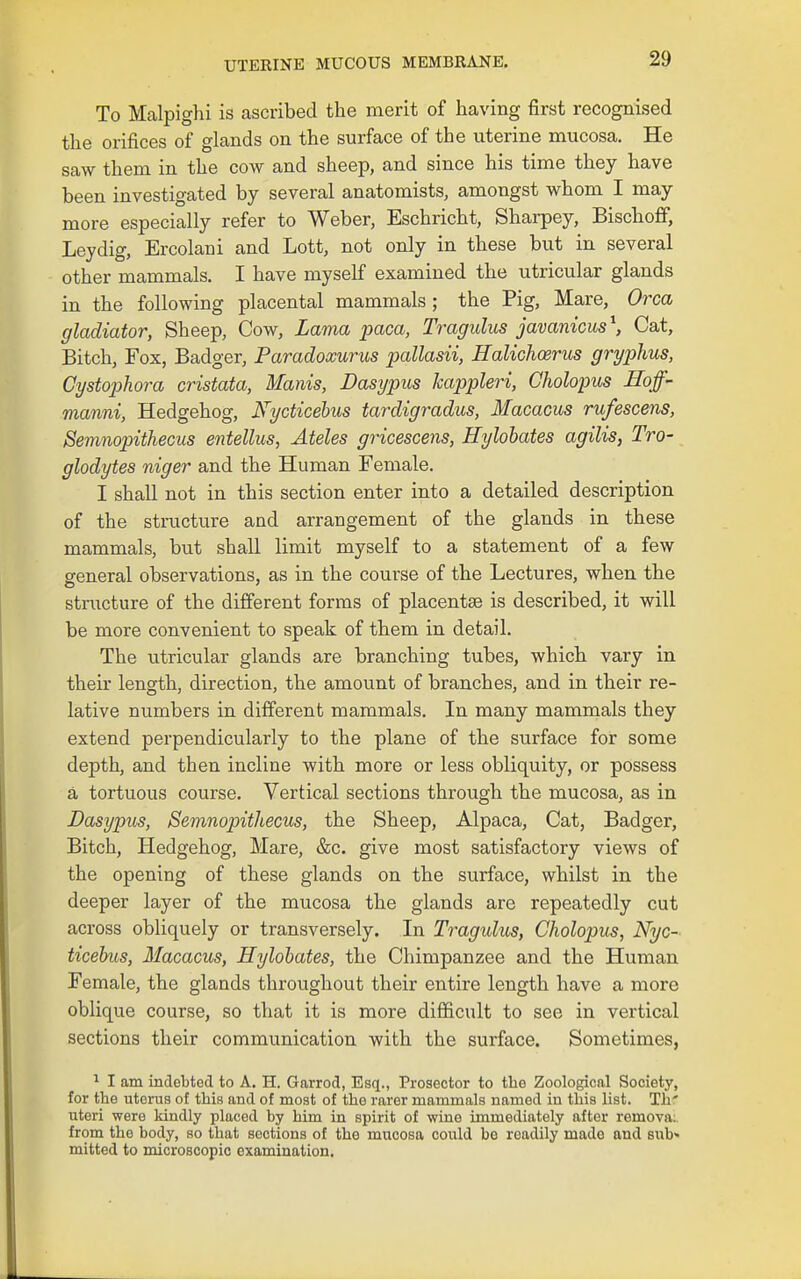 UTERINE MUCOUS MEMBRANE, To Malpighi is ascribed the merit of having first recognised the orifices of glands on the surface of the uterine mucosa. He saw them in the cow and sheep, and since his time they have been investigated by several anatomists, amongst whom I may more especially refer to Weber, Eschricht, Sharpey, Bischofif, Ley dig, Ercolani and Lott, not only in these but in several other mammals. I have myself examined the utricular glands in the following placental mammals; the Pig, Mare, Orca gladiator, Sheep, Cow, Lama paca, Tragidus javanicus\ Cat, Bitch, Fox, Badger, Paradoxurus pallasii, Halichoenos gryphus, Cystojihora cristata, Manis, Dasypus kappleri, Cholopus Hoff- manni, Hedgehog, Kycticehus tardigradus, Macacus rufescens, Semnopithecus entellus, Ateles gricescens, Hylohates agilis, Tro- glodytes niger and the Human Female. I shall not in this section enter into a detailed description of the structure and arrangement of the glands in these mammals, but shall limit myself to a statement of a few sreneral observations, as in the course of the Lectures, when the stmcture of the different forms of placentse is described, it will be more convenient to speak of them in detail. The utricular glands are branching tubes, which vary in their length, direction, the amount of branches, and in their re- lative numbers in different mammals. In many mammals they extend perpendicularly to the plane of the surface for some depth, and then incline with more or less obliquity, or possess a tortuous course. Vertical sections through the mucosa, as in Dasypus, Semnopithecus, the Sheep, Alpaca, Cat, Badger, Bitch, Hedgehog, Mare, &c. give most satisfactory views of the opening of these glands on the surface, whilst in the deeper layer of the mucosa the glands are repeatedly cut across obliquely or transversely. In Tragulus, Cholopus, Nyc- ticehus, Macacus, Hylohates, the Chimpanzee and the Hixman Female, the glands throughout their entire length have a more oblique course, so that it is more difficult to see in vertical sections their communication with the surface. Sometimes, ^ I am indebted to A. H. Garrod, Esq., Prosector to the Zoological Society, for the uterus of this and of most of the rarer mammals named in this list. Th' uteri were kindly placed by him in spirit of wine immediately after remova: from the body, so that sections of the mucosa could be readily made and Bub» mitted to microscopic examination.