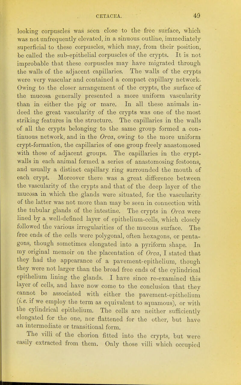 looking corpuscles was seen close to the free surface, wliich was not unfrequently elevated, in a sinuous outline, immediately superficial to these corpuscles, which may, from their position, be called the sub-epithelial corpuscles of the crypts. It is not improbable that these corpuscles may have migrated through the walls of the adjacent capillaries. The walls of the crypts were very vascular and contained a compact capillary network. Owing to the closer arrangement of the crypts, the surface of the mucosa generally presented a more uniform vascularity than in either the pig or mare. In all these animals in- deed the great vascularity of the crypts was one of the most striking features in the structure. The capillaries in the walls of all the crypts belonging to the same group formed a con- tinuous network, and in the Orca, owing to the more uniform crypt-formation, the capillaries of one group freely anastomosed, with those of adjacent groups. The capillaries in the crypt- walls in each animal formed a series of anastomosing festoons, and usually a distinct capillary ring surrounded the mouth of each crypt. Moreover thei'e was a great difference between the vascularity of the crypts and that of the deep layer of the mucosa in which the glands were situated, for the vascularity of the latter was not more than may be seen in connection with the tubular glands of the intestine. The crypts in Orca were lined by a well-defined layer of epithelium-cells, which closely followed the various irregularities of the mucous surface. The free ends of the cells were polygonal, often hexagons, or penta- gons, though sometimes elongated into a pyriform shape. In my original memoir on the placentation of Orca, I stated that they had the appearance of a pavement-epithelium, though they were not larger than the broad free ends of the cylindrical epithehum lining the glands. I have since re-examined this layer of cells, and have now come to the conclusion that they cannot be associated with either the pavement-epithelium (z. e. if we employ the term as equivalent to squamous), or with the cylindrical epithelium. The cells are neither suflaciently elongated for the one, nor flattened for the other, but have an intermediate or transitional form. The villi of the chorion fitted into the crypts, but were easily extracted from them. Only those villi which occupied