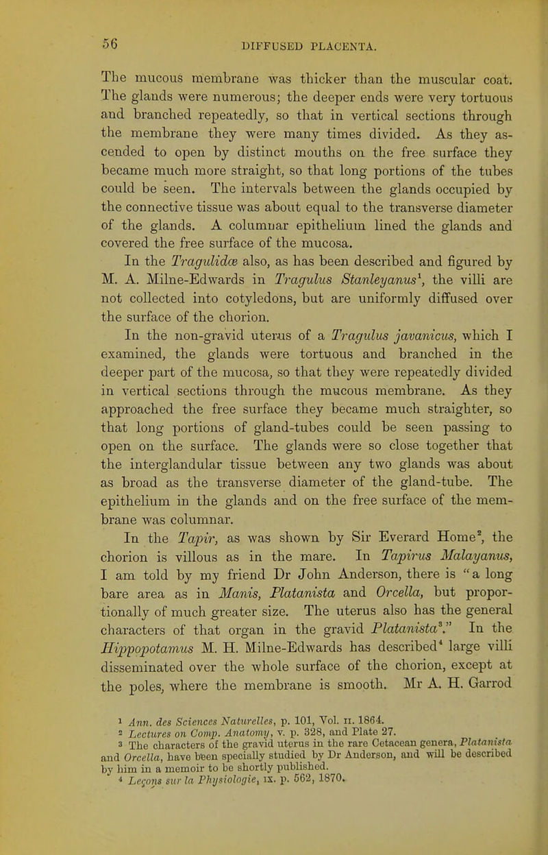 The mucous membrane was thicker than the muscular coat. The glauds were numerous; the deeper ends were very tortuous and branched repeatedly, so that in vertical sections through the membrane they were many times divided. As they as- cended to open by distinct mouths on the free surface they became much more straight, so that long portions of the tubes could be seen. The intervals between the glands occupied by the connective tissue was about equal to the transverse diameter of the glands. A columnar epithelium lined the glands and covered the free surface of the mucosa. In the Tragulidce also, as has been described and figured by M. A. Milne-Edwards in Tragulus Stanleyanus^, the villi are not collected into cotyledons, but are uniformly diffused over the surface of the chorion. In the non-gravid uterus of a Tragidus javanicus, which I examined, the glands were tortuous and branched in the deeper part of the mucosa, so that they were repeatedly divided in vertical sections through the mucous membrane. As they approached the free surface they became much straighter, so that long portions of gland-tubes could be seen passing to open on the surface. The glands were so close together that the interglandular tissue between any two glands was about as broad as the transverse diameter of the gland-tube. The epithelium in the glands and on the free surface of the mem- brane was columnar. In the Tajnr, as was shown by Sir Everai'd Home^ the chorion is villous as in the mare. In Tapirus Malayamis, I am told by my friend Dr John Anderson, there is a long bare area as in Manis, Platanista and Orcella, but propor- tionally of much greater size. The uterus also has the general characters of that organ in the gravid Platanista^, In the Hippopotamus M. H. Milne-Edwards has described* large villi disseminated over the whole surface of the chorion, except at the poles, where the membrane is smooth. Mr A. H. Garrod 1 Ann. des Sciences Nalurelles, p. 101, Vol. n. 1864. 2 Lectures on Comp. Anatomy, v. p. 328, aucl Plate 27. 3 The characters of the gi'avid uterus in the rare Cetacean genera, Platfinista and Orcella, have bten specially studied by Dr Anderson, and will be described by him in a memoir to be shortly published. 4 Le,;o7is sur la Physiologie, ix. p. 562, 1870.