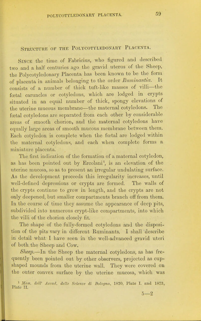 Structure of the Polycotyledonary Placenta. Since the time of Fabricius, who figured and described two and a half centuries ago the gravid uterus of the Sheep, the Polycotyledonary Placenta has been known to be the form of placenta in animals belonging to the order Ruminantia. It consists of a number of thick tuft-like masses of villi—the foetal caruncles or cotyledons, which are lodged in crypts situated in an equal number of thick, spongy elevations of the uterine mucous membrane—the maternal cotyledons. The foetal cotyledons are separated from each other by considerable areas of smooth chorion, and the maternal cotyledons have equally large areas of smooth mucous membrane between them. Each cotyledon is complete when the foetal are lodged within the maternal cotyledons, and each when complete forms a miniature placenta. The first indication of the formation of a maternal cotyledon, as has been pointed out by Ercolani^ is an elevation of the uterine mucosa, so as to present an irregular undulating surface. As the development proceeds this irregularity increases, until well-defined depressions or crypts are formed. The walls of the crypts continue to grow in length, and the crypts are not only deepened, but smaller compartments branch off from them. In the course of time they assume the appearance of deep pits, subdivided into numerous crypt-like compartments, into which the villi of the chorion closely fit. The shape of the fully-formed cotyledons and the disposi- tion of the pits vary in different Ruminants. I shall describe in detail what I have seen in the well-advanced sfravid uteri of both the Sheep and Cow. Sheep.—In the Sheep the maternal cotyledons, as has fre- quently been pointed out by other observers, projected as cup- shaped mounds from the uterine wall. They were covered on the outer convex surface by the uterine mucosa, which was 1 Mem. delV Accad. delle Scienze di Bologna, 1870, Plate I. and 1873, Plata II.