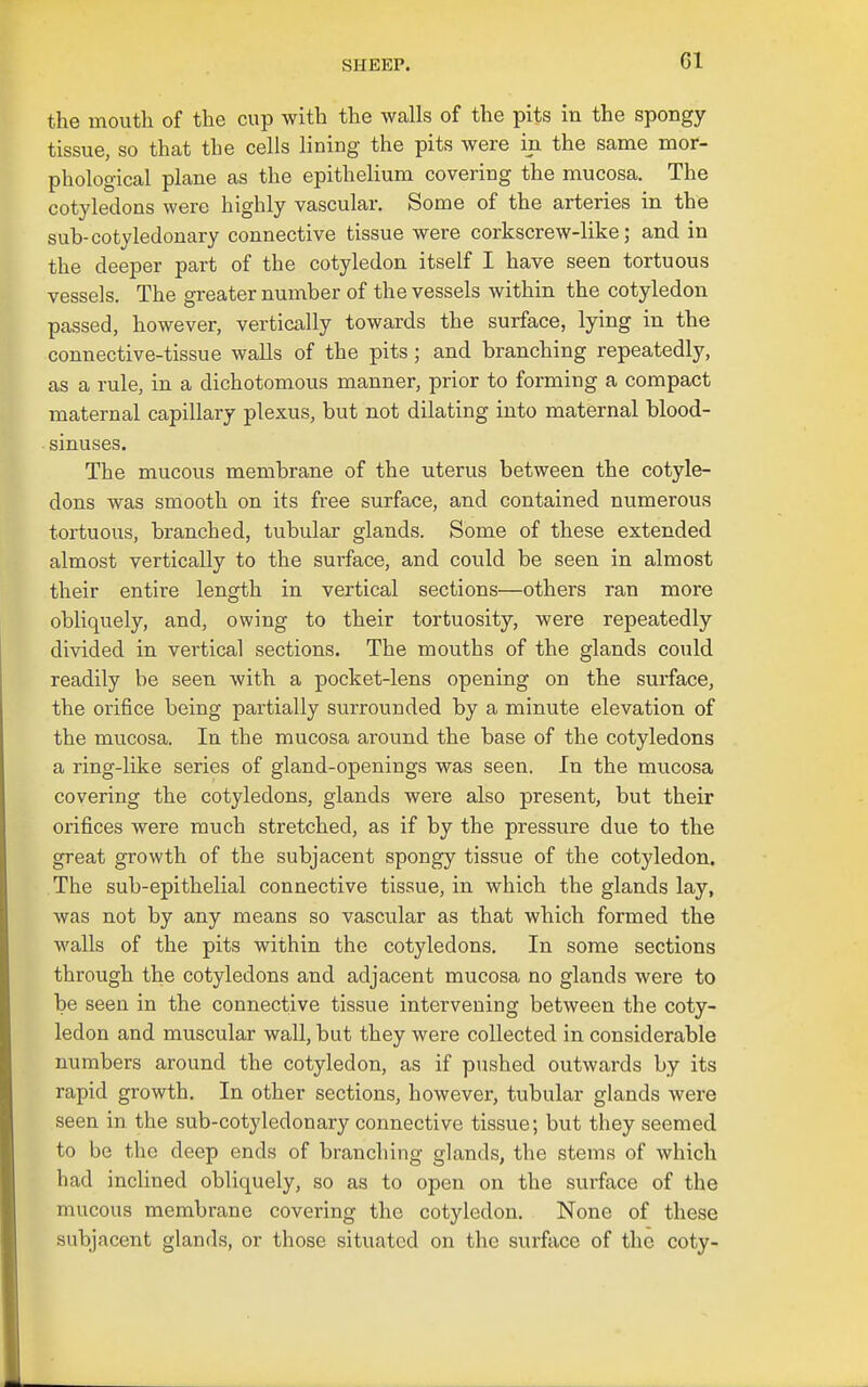 SHEEP. Gl the mouth of the cup with the walls of the pits in the spongy- tissue, so that the cells lining the pits were in the same mor- phological plane as the epithelium covering the mucosa. The cotyledons were highly vascular. Some of the arteries in the suh-cotyledonary connective tissue were corkscrew-like; and in the deeper part of the cotyledon itself I have seen tortuous vessels. The greater number of the vessels within the cotyledon passed, however, vertically towards the surface, lying in the connective-tissue walls of the pits; and branching repeatedly, as a rule, in a dichotomous manner, prior to forming a compact maternal capillary plexus, but not dilating into maternal blood- sinuses. The mucous membrane of the uterus between the cotyle- dons was smooth on its free surface, and contained numerous tortuous, branched, tubular glands. Some of these extended almost vertically to the sui-face, and could be seen in almost their entire length in vertical sections—others ran more obliquely, and, owing to their tortuosity, were repeatedly divided in vertical sections. The mouths of the glands could readily be seen with a pocket-lens opening on the surface, the orifice being partially surrounded by a minute elevation of the mucosa. In the mucosa around the base of the cotyledons a ring-like series of gland-openings was seen. In the mucosa covering the cotyledons, glands were also present, but their orifices were much stretched, as if by the pressure due to the great growth of the subjacent spongy tissue of the cotyledon. The sub-epithelial connective tissue, in which the glands lay, was not by any means so vascular as that which formed the walls of the pits within the cotyledons. In some sections through the cotyledons and adjacent mucosa no glands were to be seen in the connective tissue intervening between the coty- ledon and muscular wall, but they were collected in considerable numbers around the cotyledon, as if pushed outwards by its rapid growth. In other sections, however, tubular glands were seen in the sub-cotyledonary connective tissue; but they seemed to be the deep ends of branching glands, the stems of which had inclined obliquely, so as to open on the surface of the mucous membrane covei-ing the cotyledon. None of these subjacent glands, or those situated on the surface of the coty-
