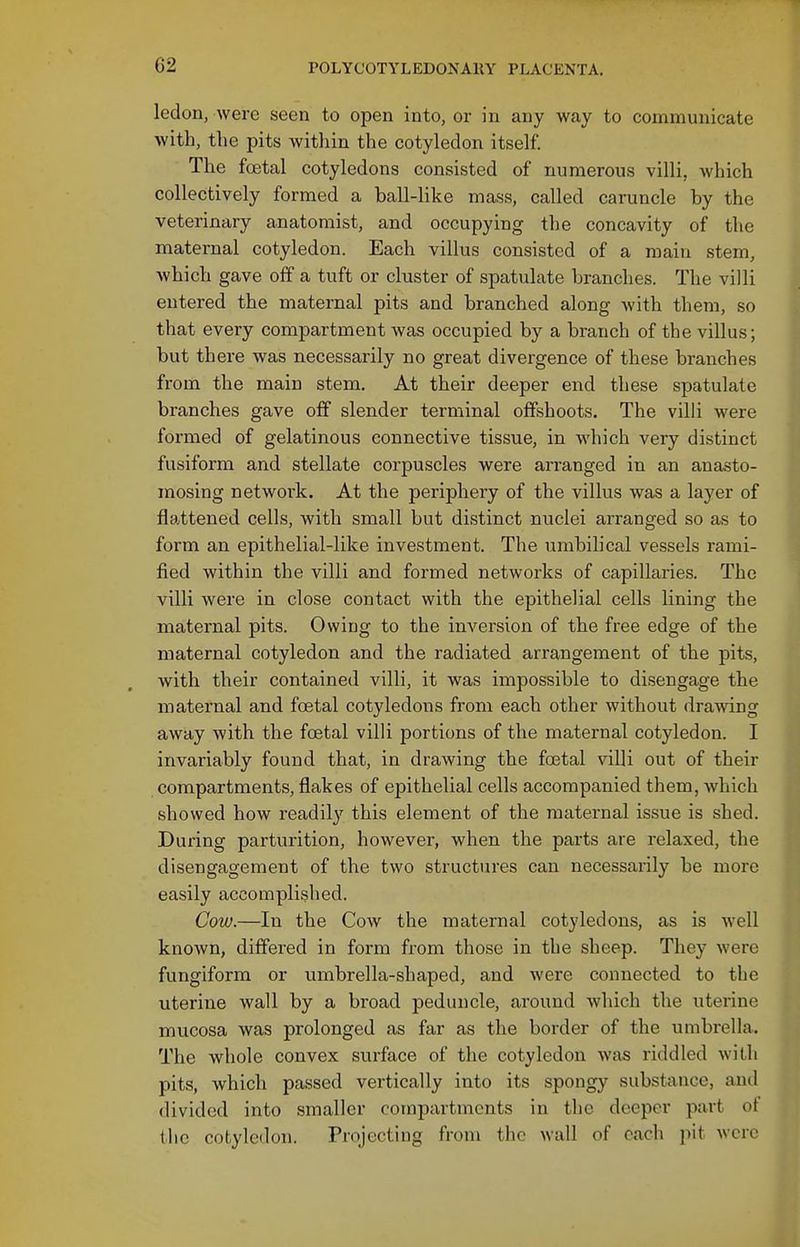 ledon, were seen to open into, or in any way to communicate with, the pits within the cotyledon itself. The foetal cotyledons consisted of numerous villi, which collectively formed a ball-like mass, called caruncle by the veterinary anatomist, and occupying the concavity of the maternal cotyledon. Each villus consisted of a main stem, which gave off a tuft or cluster of spatulate branches. The villi entered the maternal pits and branched along with them, so that every compartment was occupied by a branch of the villus; but there was necessarily no great divergence of these branches from the main stem. At their deeper end these spatulate branches gave off slender terminal offshoots. The villi were formed of gelatinous connective tissue, in which very distinct fusiform and stellate corpuscles were arranged in an anasto- mosing netwoi'k. At the periphery of the villus was a layer of flattened cells, with small but distinct nuclei arranged so as to form an epithelial-like investment. The umbilical vessels rami- fied within the villi and formed networks of capillaries. The villi were in close contact with the epithelial cells lining the maternal pits. Owing to the inversion of the free edge of the maternal cotyledon and the radiated arrangement of the pits, with their contained villi, it was impossible to disengage the maternal and foetal cotyledons from each other without drawing away with the foetal villi portions of the maternal cotyledon. I invariably found that, in drawing the foetal villi out of their compartments, flakes of epithelial cells accompanied them, which showed how readily this element of the maternal issue is shed. During parturition, however, when the parts are relaxed, the disengagement of the two structures can necessarily be more easily accomplished. Cow.—In the Cow the maternal cotyledons, as is well knoAvn, differed in form from those in the sheep. They were fungiform or umbrella-shaped, and were connected to the uterine wall by a broad peduncle, around which the uterine mucosa was prolonged as far as the border of the umbrella. The whole convex surface of the cotyledon was riddled wiUi pits, which passed vertically into its spongy substance, and divided into smaller comiJartments in the deeper part ot the cotyledon. Projecting from the wall of e^ich pit were