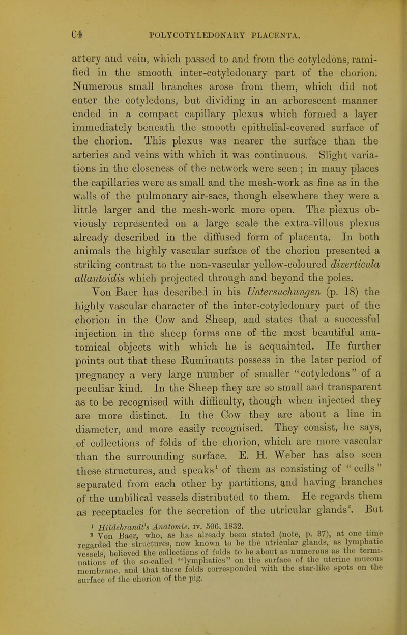 artery and vein, which passed to and from the cotyledons, rami- fied in the smooth inter-cotyledonary part of the chorion. Numerous small branches arose from them, which did not enter the cotyledons, but dividing in an arborescent manner ended in a compact capillary plexus which formed a layer immediately beneath the smooth epithelial-covered surface of the chorion. This plexus was nearer the surface than the arteries and veins with which it was continuous. Slight varia- tions in the closeness of the network were seen ; in many places the capillaries were as small and the mesh-work as fine as in the walls of the pulmonary air-sacs, though elsewhere they were a little larger and the mesh-work more open. The plexus ob- viously represented on a large scale the extra-villous plexus already described in the diffused form of placenta. In both animals the highly vascular surface of the chorion presented a striking contrast to the non-vascular yellow-coloured diverticula allantoidis which projected through and beyond the poles. Von Baer has described in his Vntersuchungen (p. 18) the highly vascular character of the inter-cotyledonary part of the chorion in the Cow and Sheep, and states that a successful injection in the sheep forms one of the most beautiful ana- tomical objects with which he is acquainted. He further points out that these Ruminants possess in the later period of pregnancy a very large number of smaller cotyledons of a peculiar kind. In the Sheep they are so small and transparent as to be recognised with difficulty, though when injected they are more distinct. In the Cow they are about a line in diameter, and more easily recognised. They consist, he says, of collections of folds of the chorion, which are more vascular than the surrounding surface. E. H. Weber has also seen these structures, and speaks' of them as consisting of cells separated from each other by partitions, and having branches of the umbilical vessels distributed to them. He regards them as receptacles for the secretion of the utricular glands. But 1 Hildebrandt's Anatoviie, iv. 506, 1832. Von Baer, who, as has aheady been stated (note, p. 37), at one tune regarded the Ktructurea, now known to be the utriculai- glands, as lyiniihatic vessels believed the collections of folds to be about as numerous as the termi- nations of the so-called lymphatics on the surface of the uterine mucous membrane, and that those folds correspouded with the star-hke spots on the surface of the chorion of the pig.