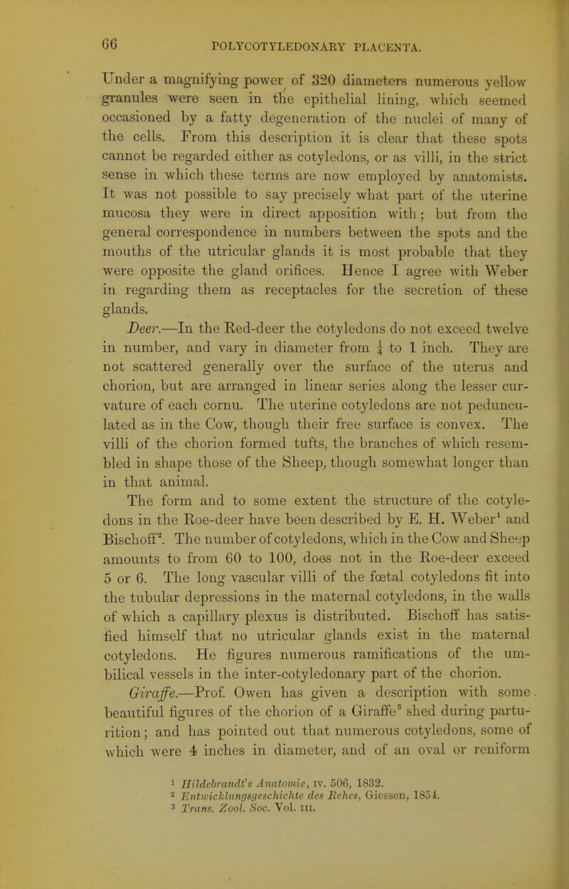 Under a magnifying power of 320 diameters numerous yellow granules were seen in the epithelial lining, which seemed occasioned by a fatty degeneration of the nuclei of many of the cells. From this description it is clear that these spots cannot be regarded either as cotyledons, or as villi, in the strict sense in which these terms are now employed by anatomists. It was not possible to say precisely what part of the uterine mucosa they were in direct apposition with; but from the general correspondence in numbers between the spots and the mouths of the uti'icular glands it is most probable that they were opposite the gland orifices. Uence I agree with Weber in regarding them as receptacles for the secretion of these glands. Beer.—In the Red-deer the cotyledons do not exceed twelve in number, and vary in diameter from 3 to 1 inch. They are not scattered generally over the surface of the uterus and chorion, but are arranged in linear series along the lesser cur- vature of each cornu. The uterine cotyledons are not peduncu- lated as in the Cow, though their free surface is convex. The villi of the chorion formed tufts, the branches of which resem- bled in shape those of the Sheep, though somewhat longer than in that animal. The form and to some extent the structure of the cotyle- dons in the Roe-deer have been described by E. H. Weber^ and Bischoffl The number of cotyledons, which in the Cow and She'jp amounts to from 60 to 100, does not in the Roe-deer exceed 5 or 6. The long vascular villi of the foetal cotyledons fit into the tubular depressions in the maternal cotyledons, in the walls of which a capillary plexus is distributed. Bischoff has satis- fied himself that no utricular glands exist in the maternal cotyledons. He figures numerous ramifications of the um- bilical vessels in the inter-cotyledonary part of the chorion. Giraffe.—Prof Owen has given a descrij)tion with some, beautiful figures of the chorion of a Giraffe^ shed during partu- rition; and has pointed out that numerous cotyledons, some of which were 4 inches in diameter, and of an oval or reuiform 1 Hildehrandt's Anatomie, iv. 606, 1832. ^ EntwicUhmgsjicitchichtc des Rehcs, Giesseu, 1851. ' Trana. Zooi. hoc. Vol. in.